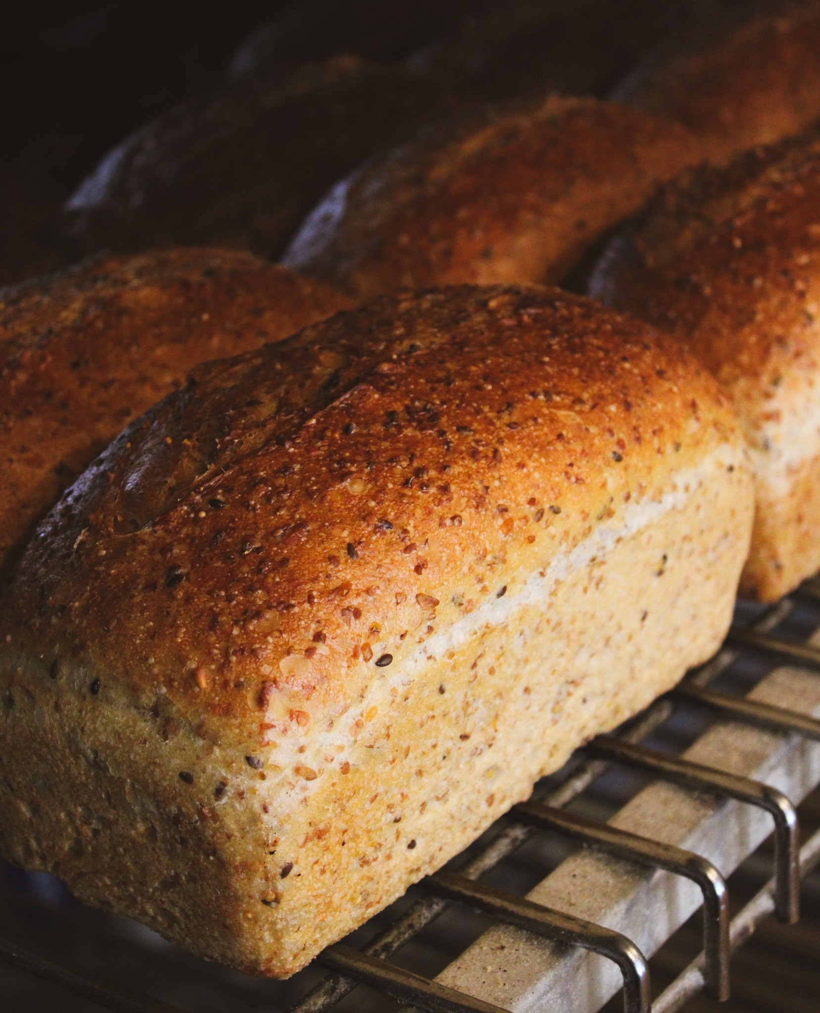 August First Burlington