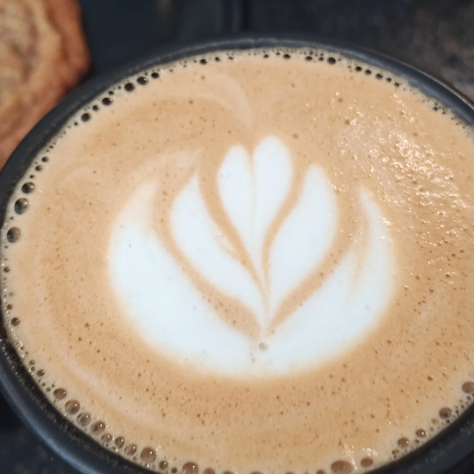 Onyx Tonics Specialty Coffee Burlington