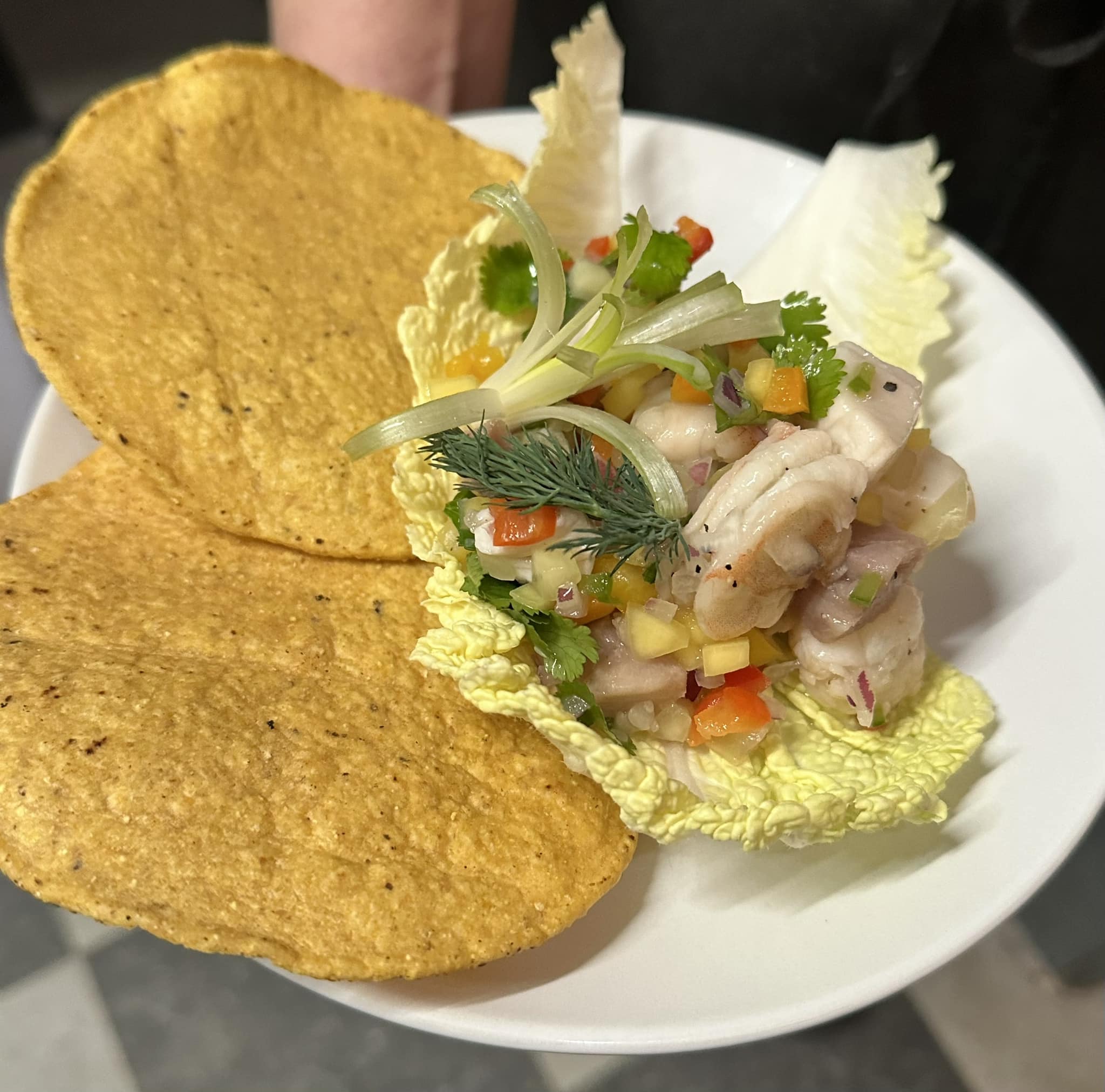 The Whammy Bar Calais