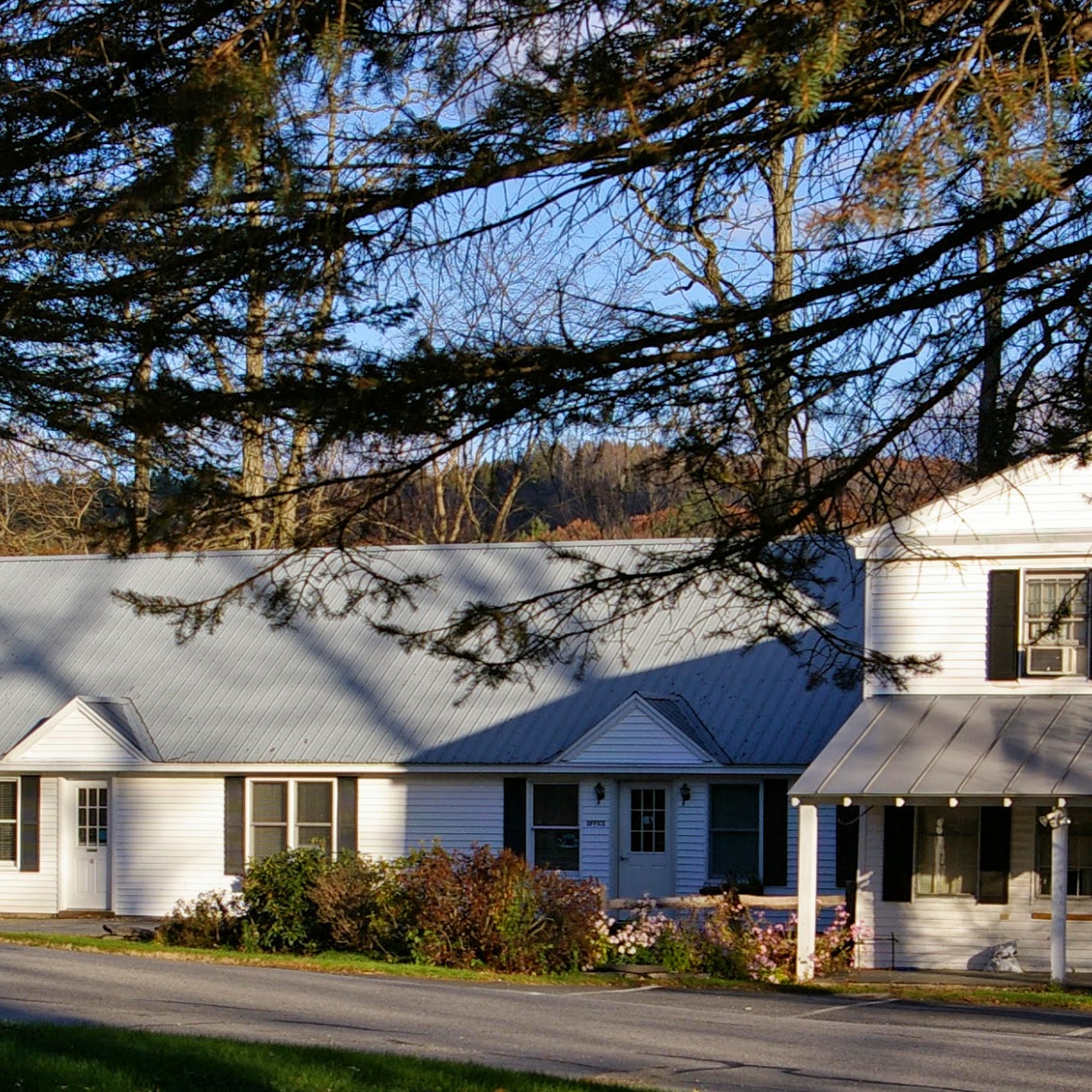 VT NH Veterinary Clinic Dummerston