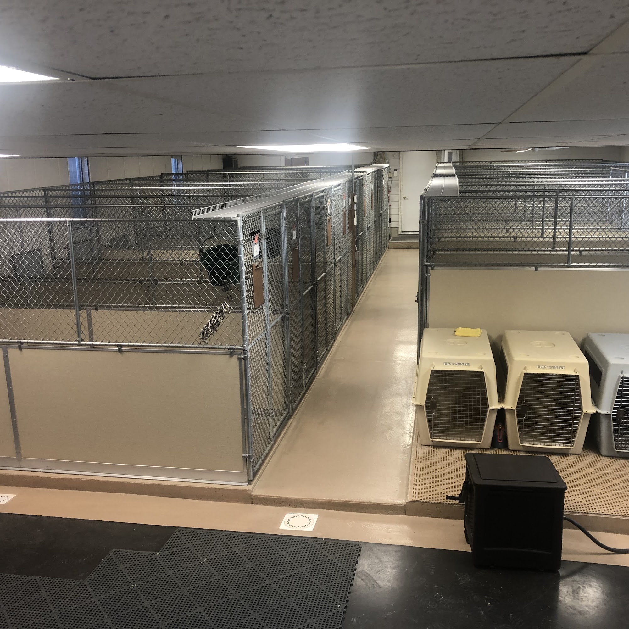 Sandy Pines Boarding Kennel Inc. Essex Junction