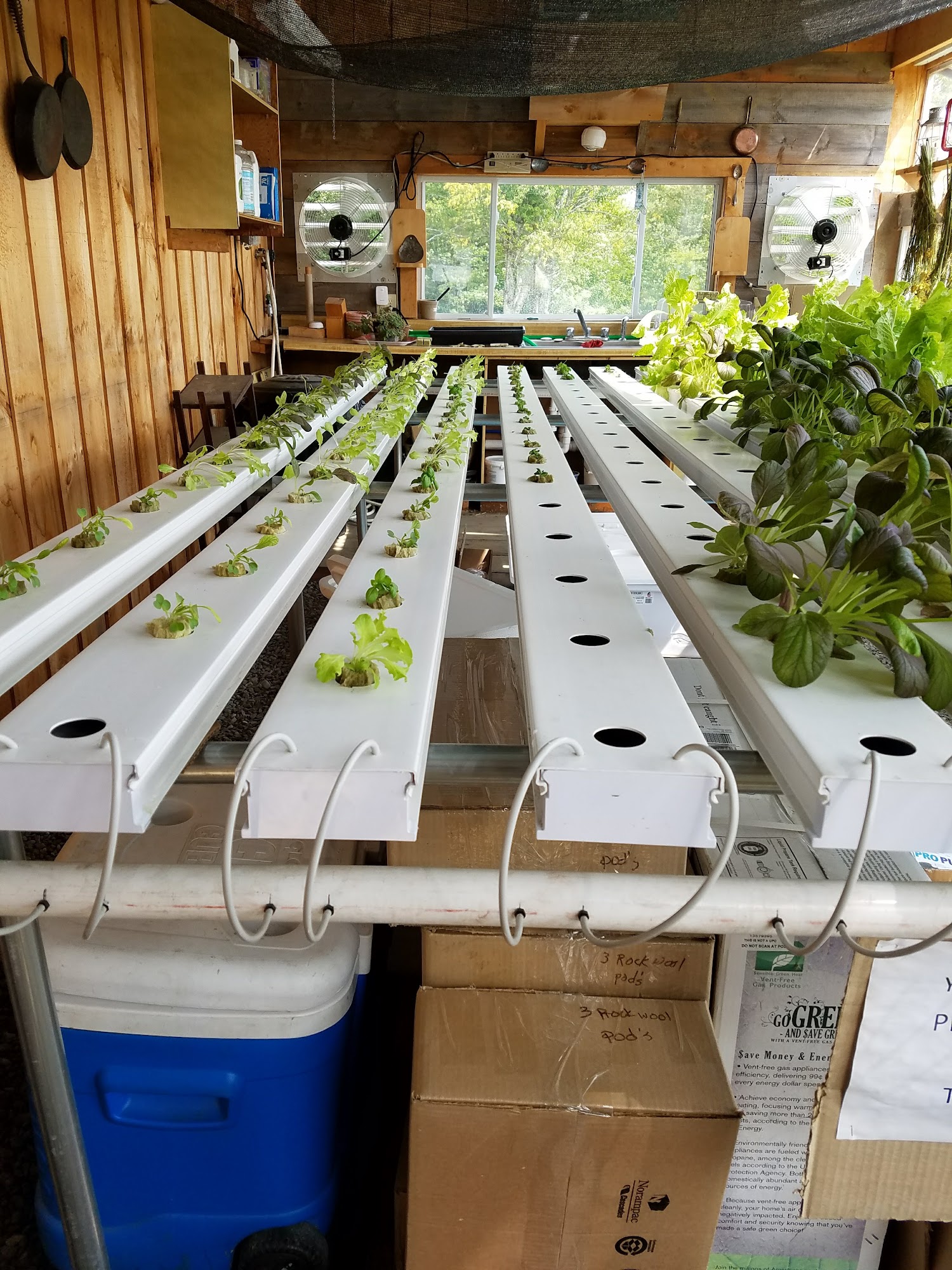 Top of the Mountain Vegetable Farm Hardwick