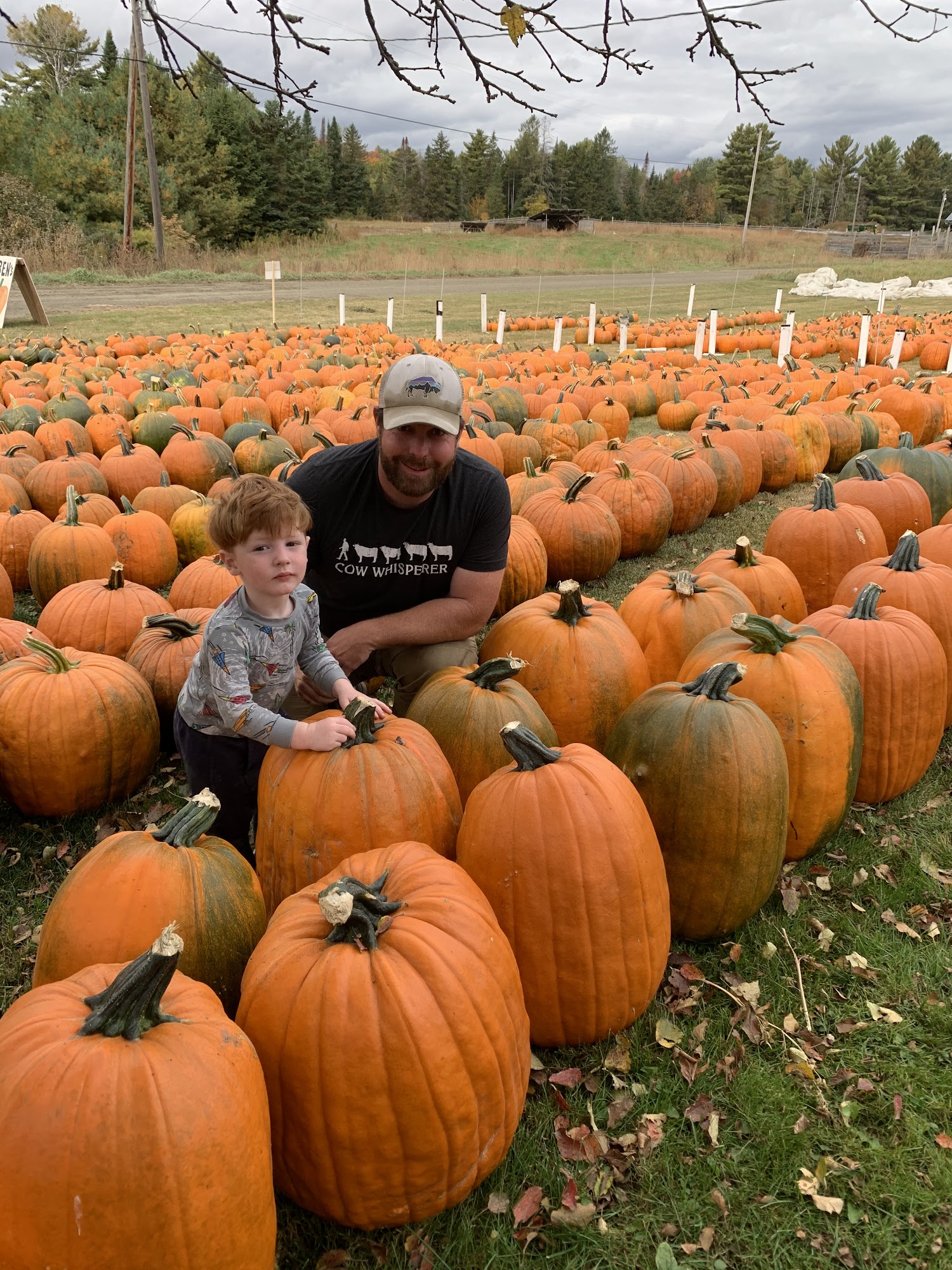 Snug Valley Farm Hardwick