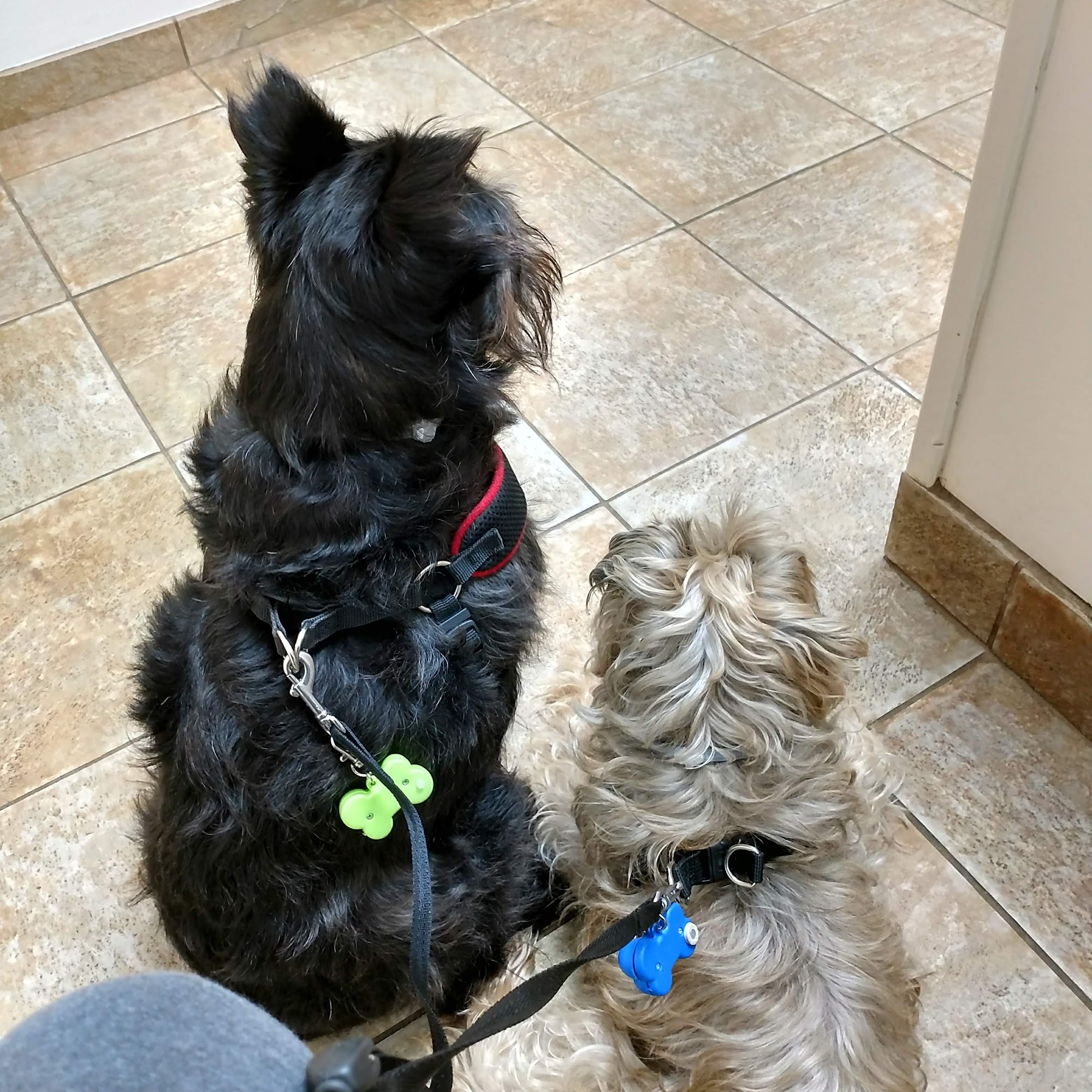 Animal Hospital of Hinesburg Hinesburg