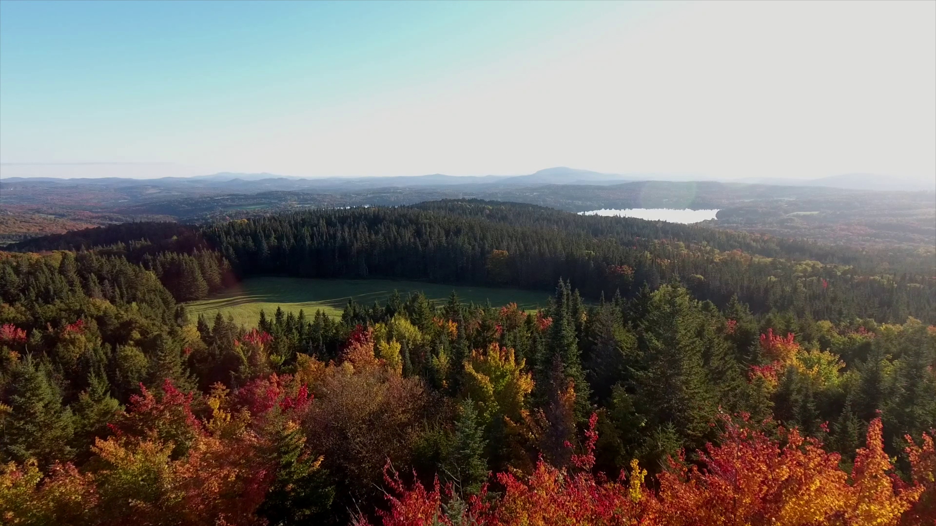 Barr Hill by Caledonia Spirits Montpelier