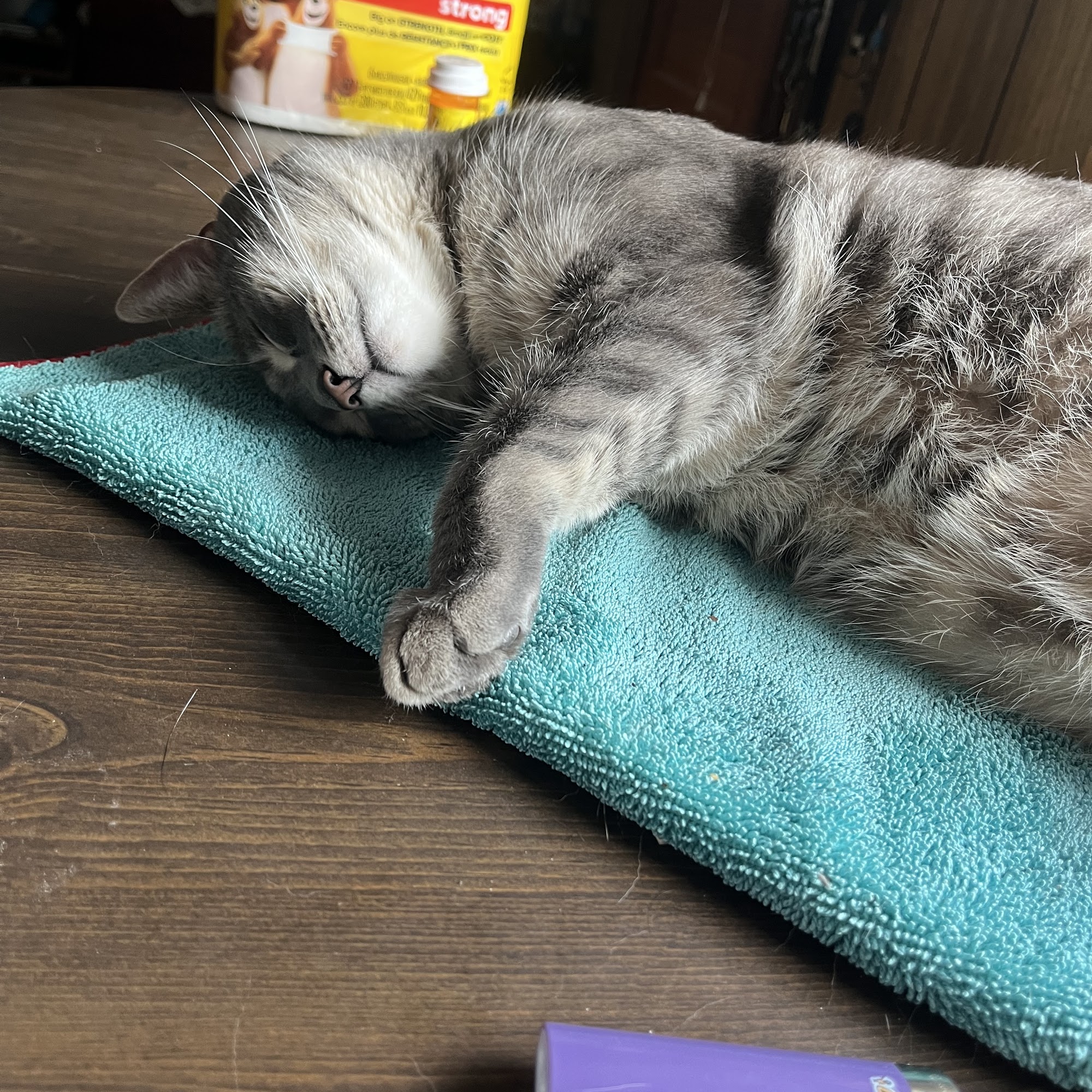 Newport Veterinary Hospital Newport