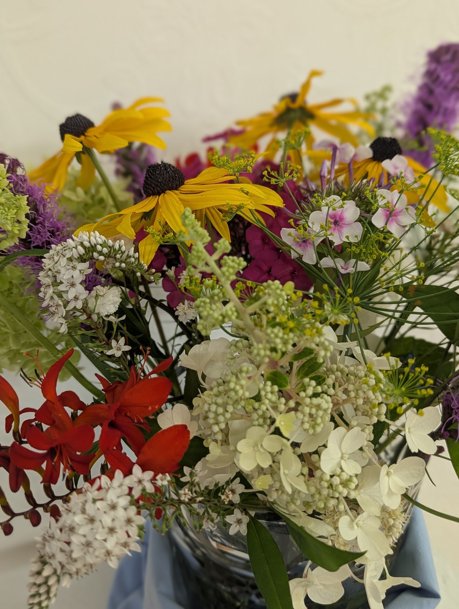 MAC Center for the Arts Newport