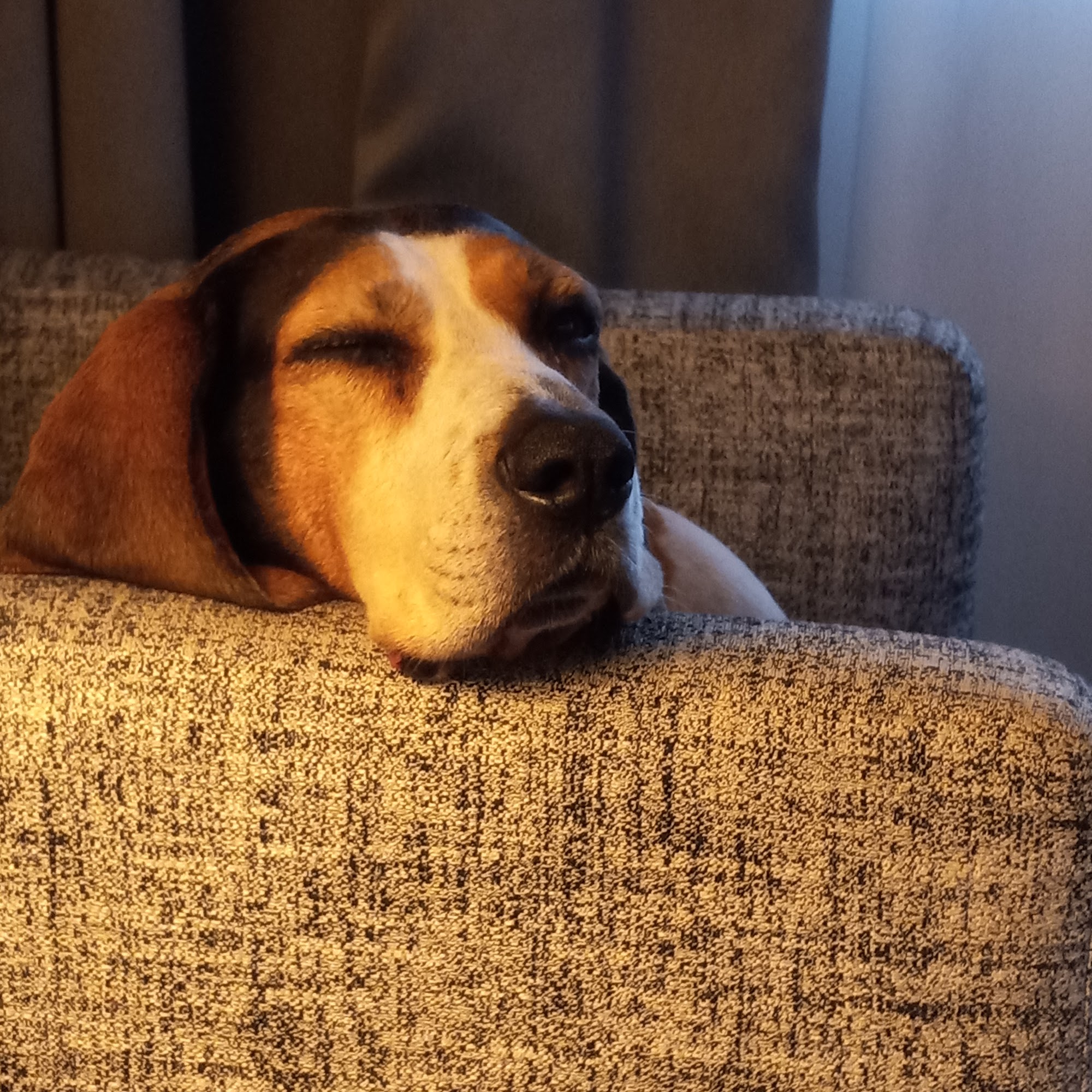 River Road Veterinary Clinic Norwich