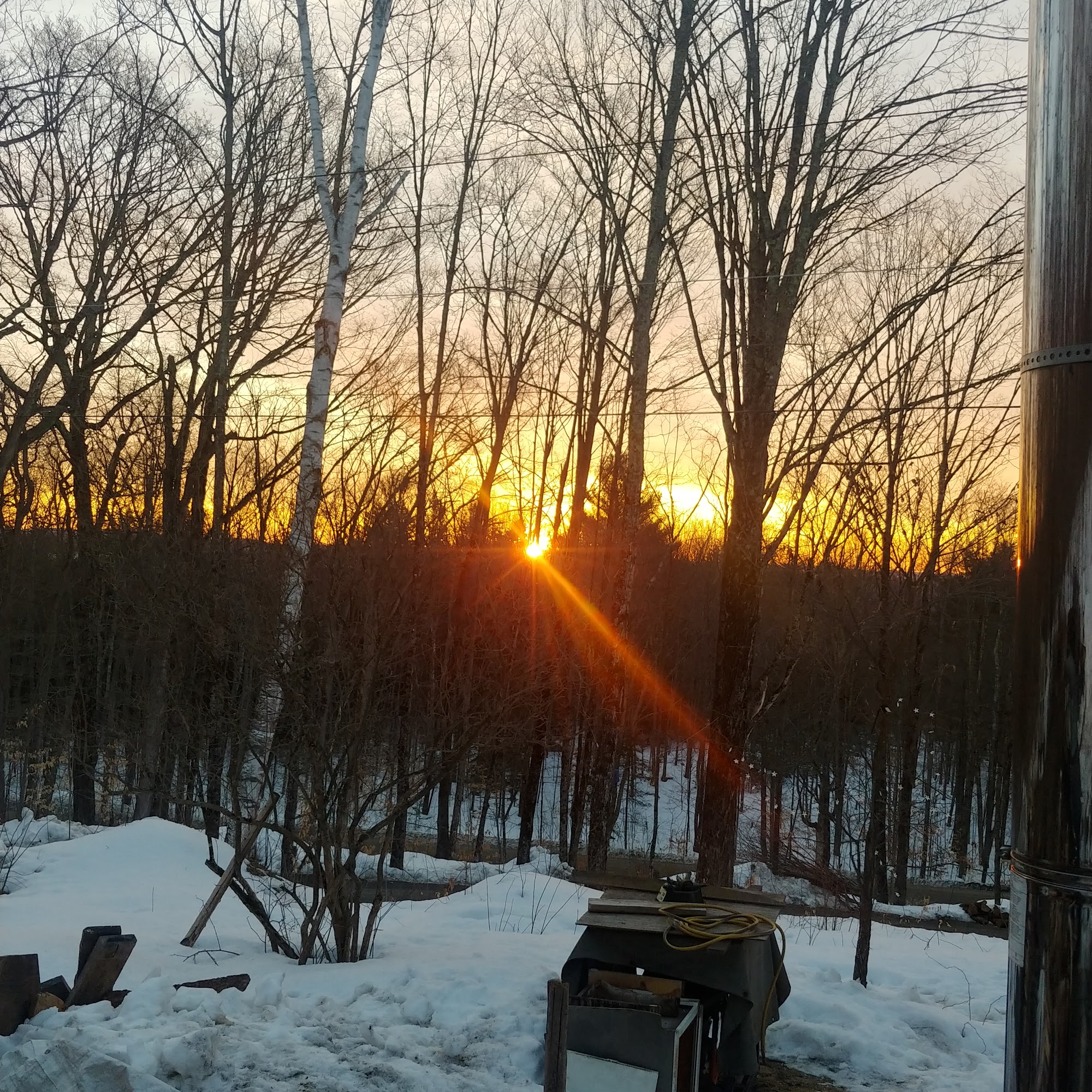 Polestar Cannabis Randolph