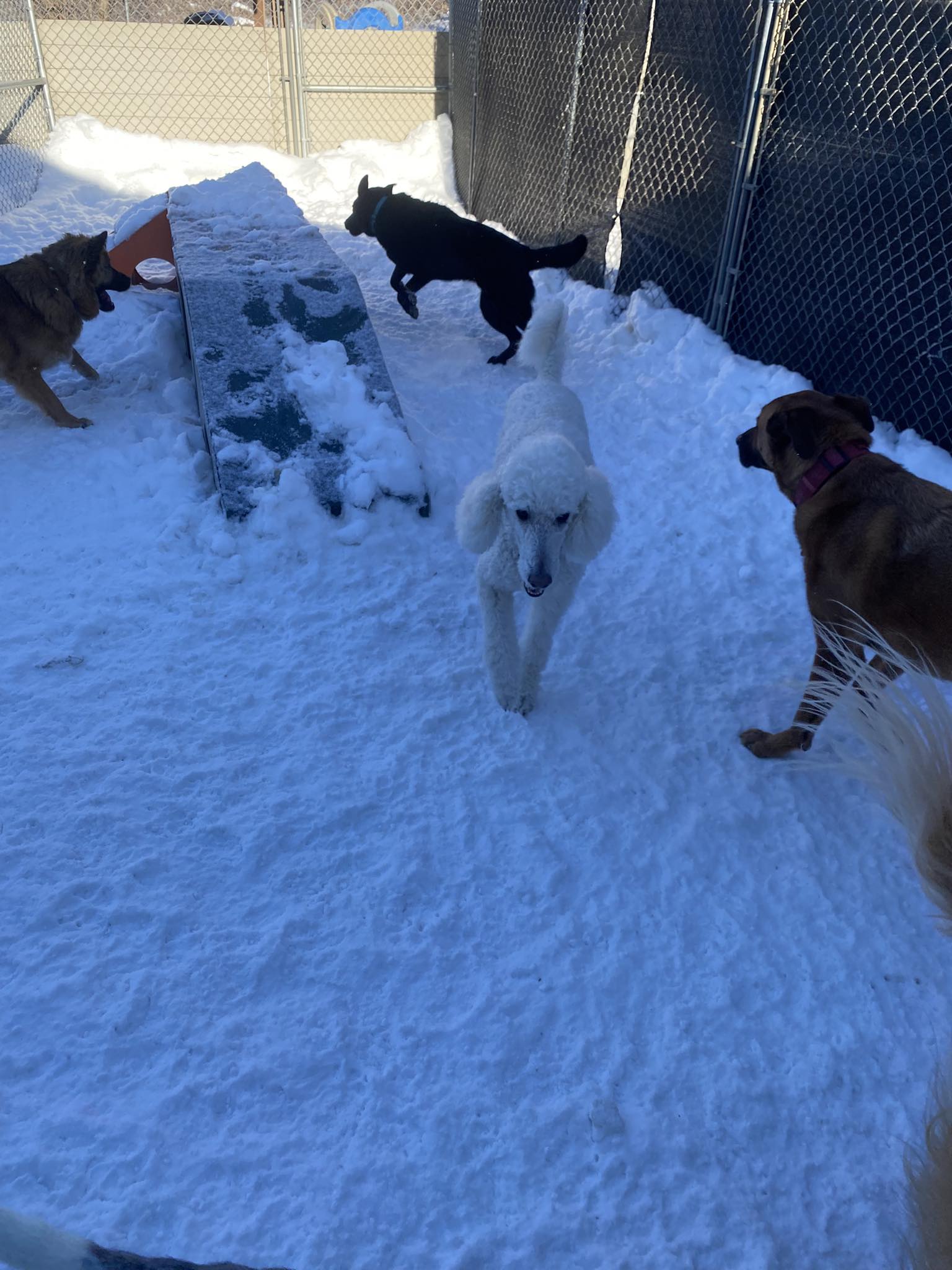 The Crate Escape Richmond