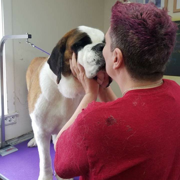 Royal Paws Grooming LLC Saint Albans City