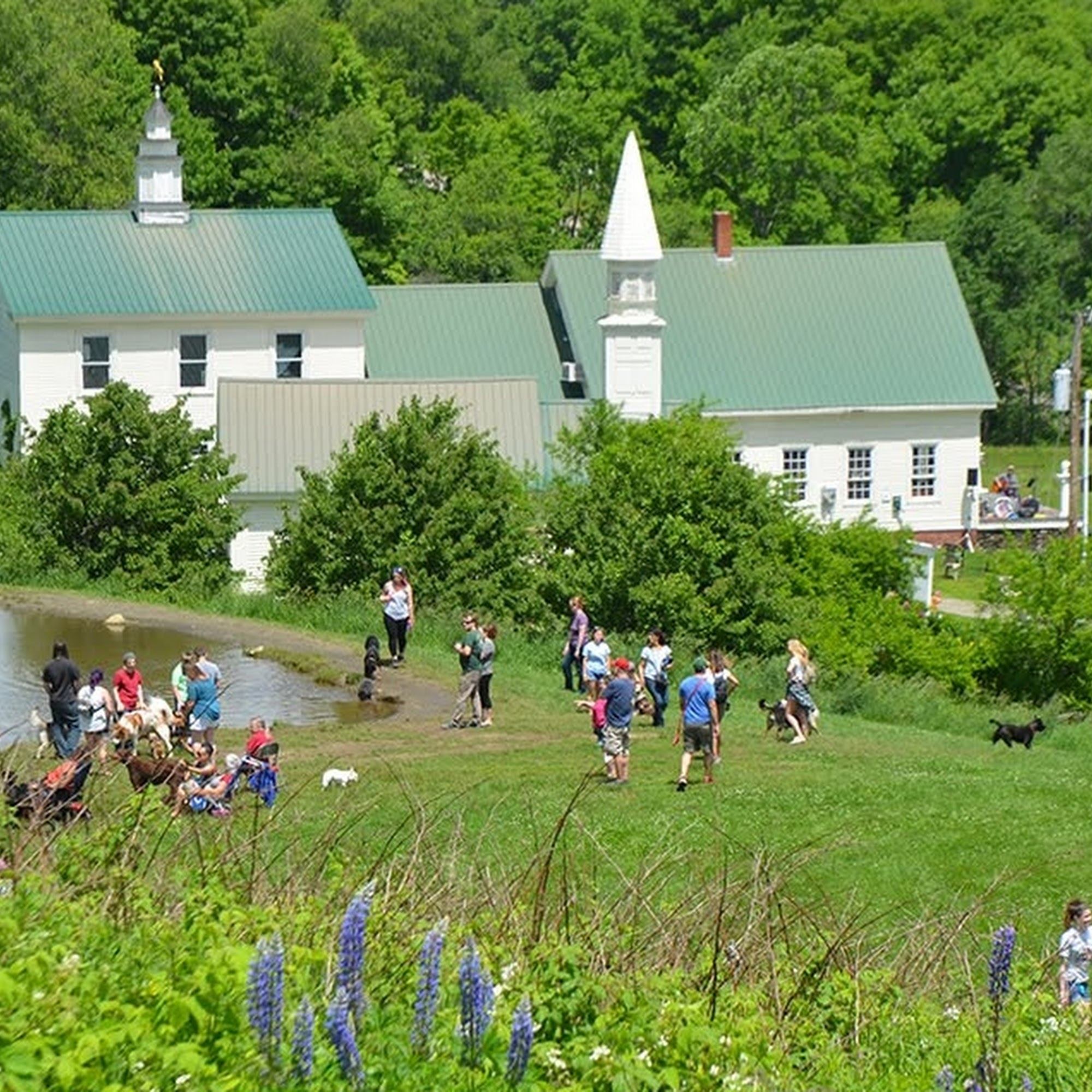 Dog Mountain, Home of Stephen Huneck Gallery Saint Johnsbury