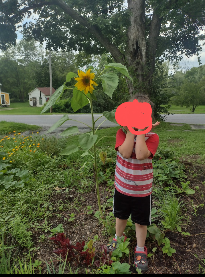 Limbwalker Tree Service