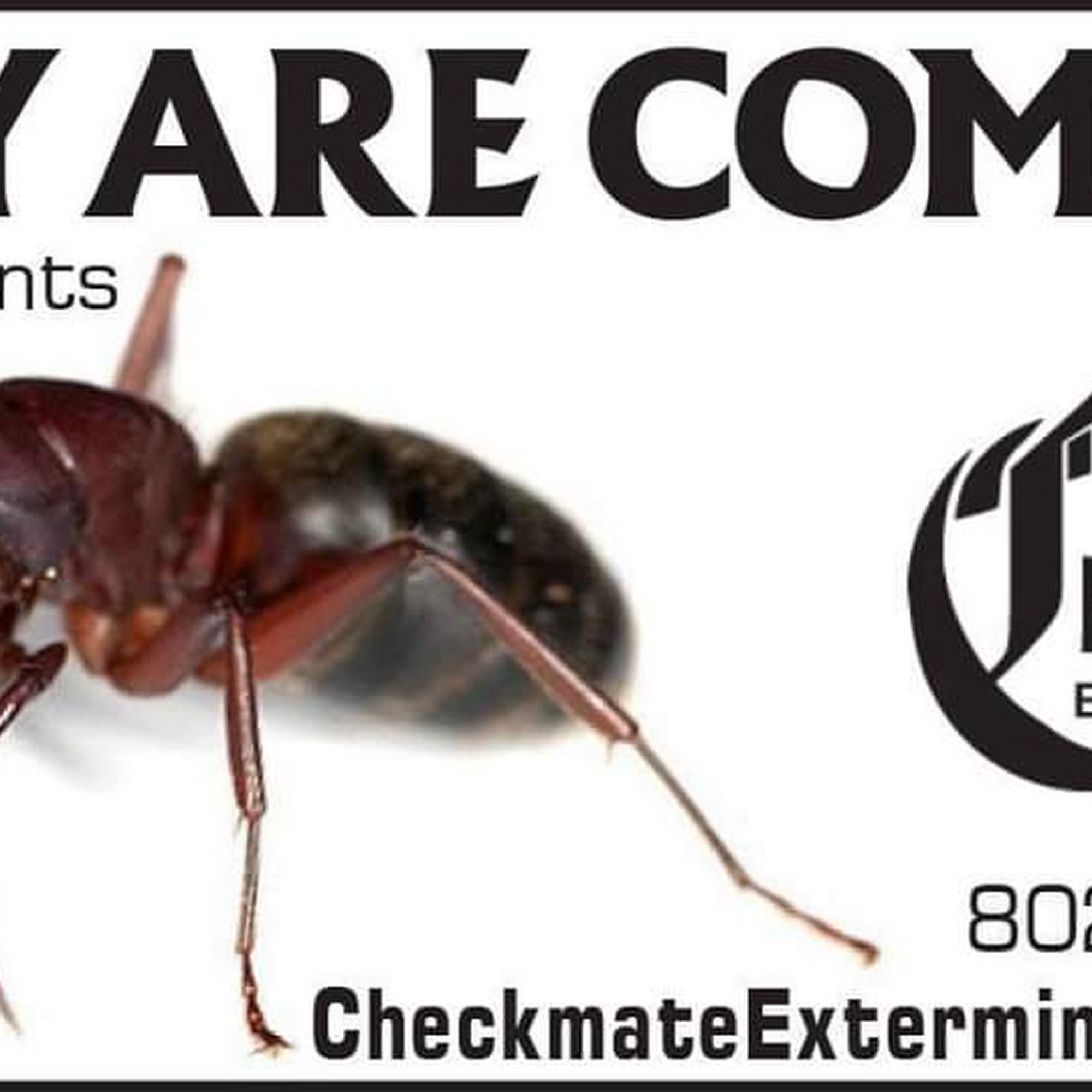 Checkmate Exterminators