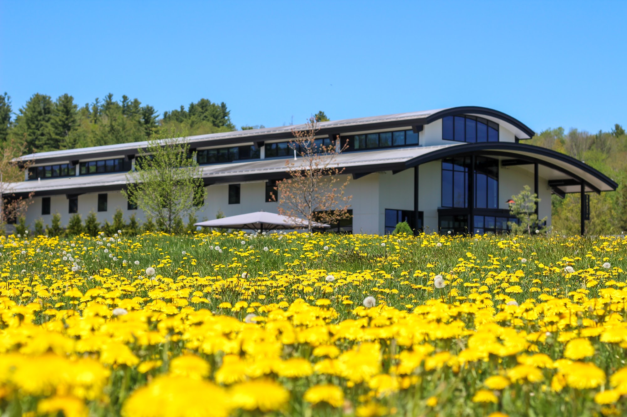 The Alchemist Brewery Menu