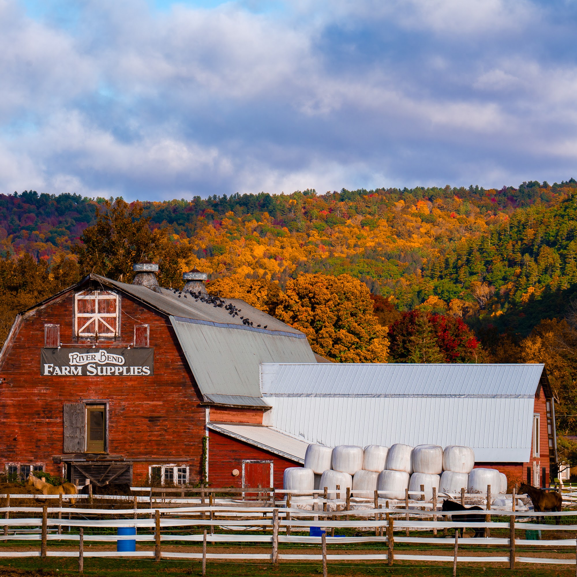 River Bend Farm and Feed Townshend