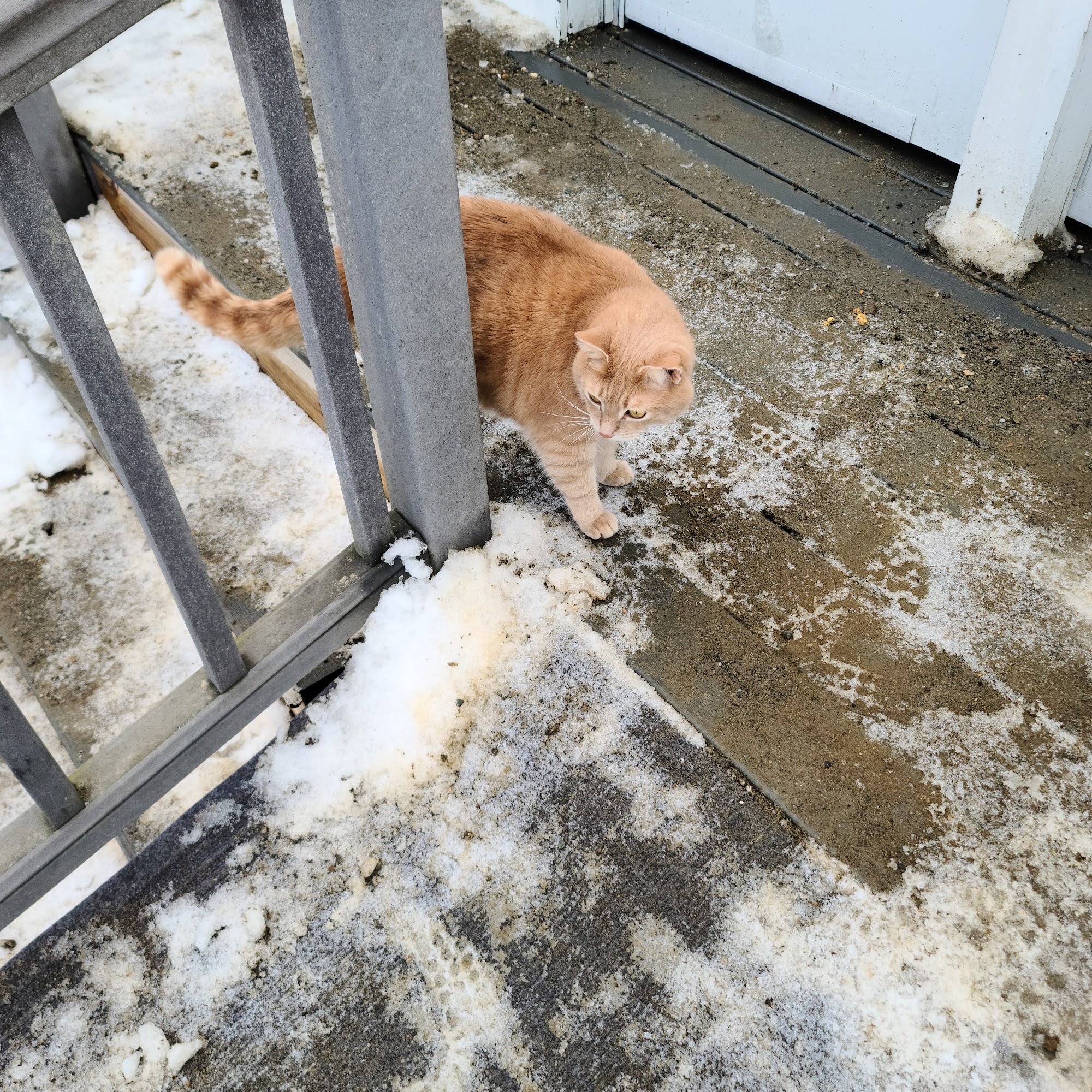 Valley Animal Hospital Waitsfield