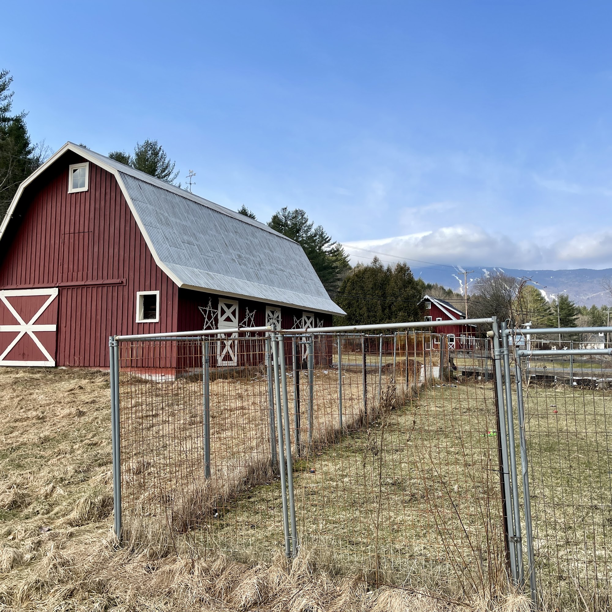 Mad River Veterinary Service Waitsfield