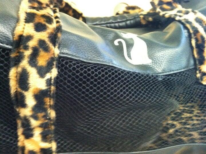 River Cove Animal Hospital: Lincoln Joshua DVM Williston