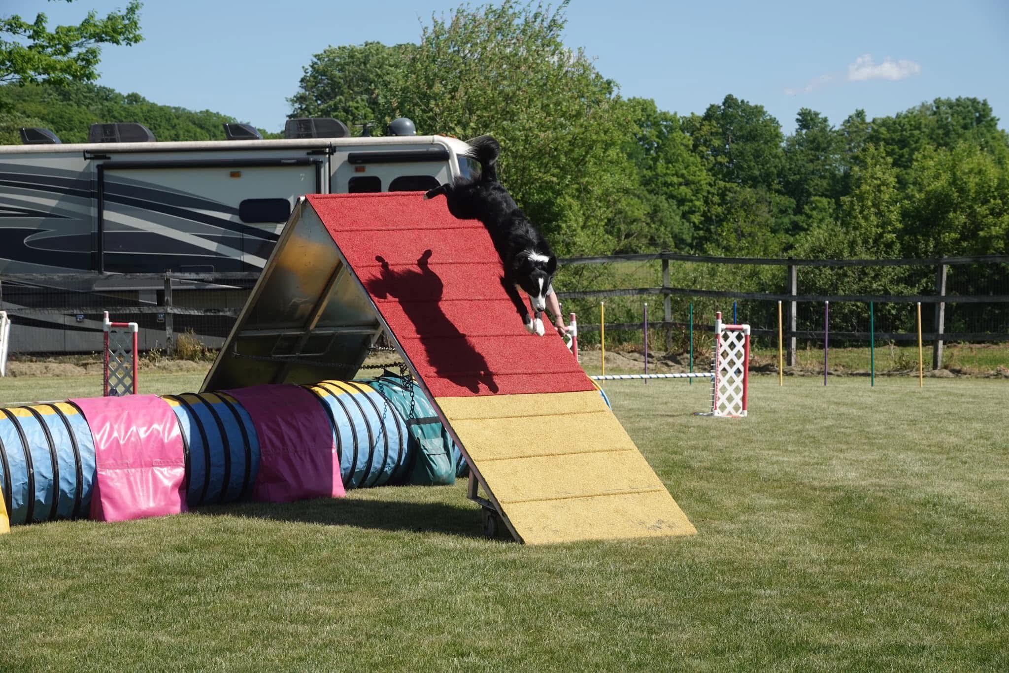 Show Me the Biscuit Williston