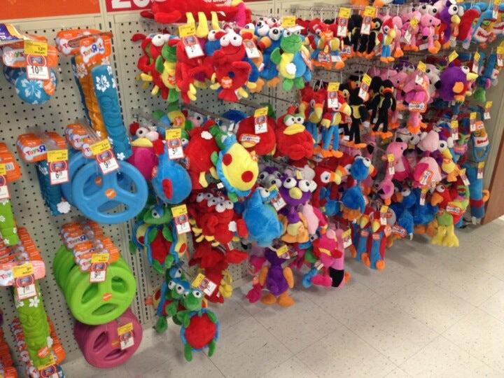 PetSmart Dog Training Williston