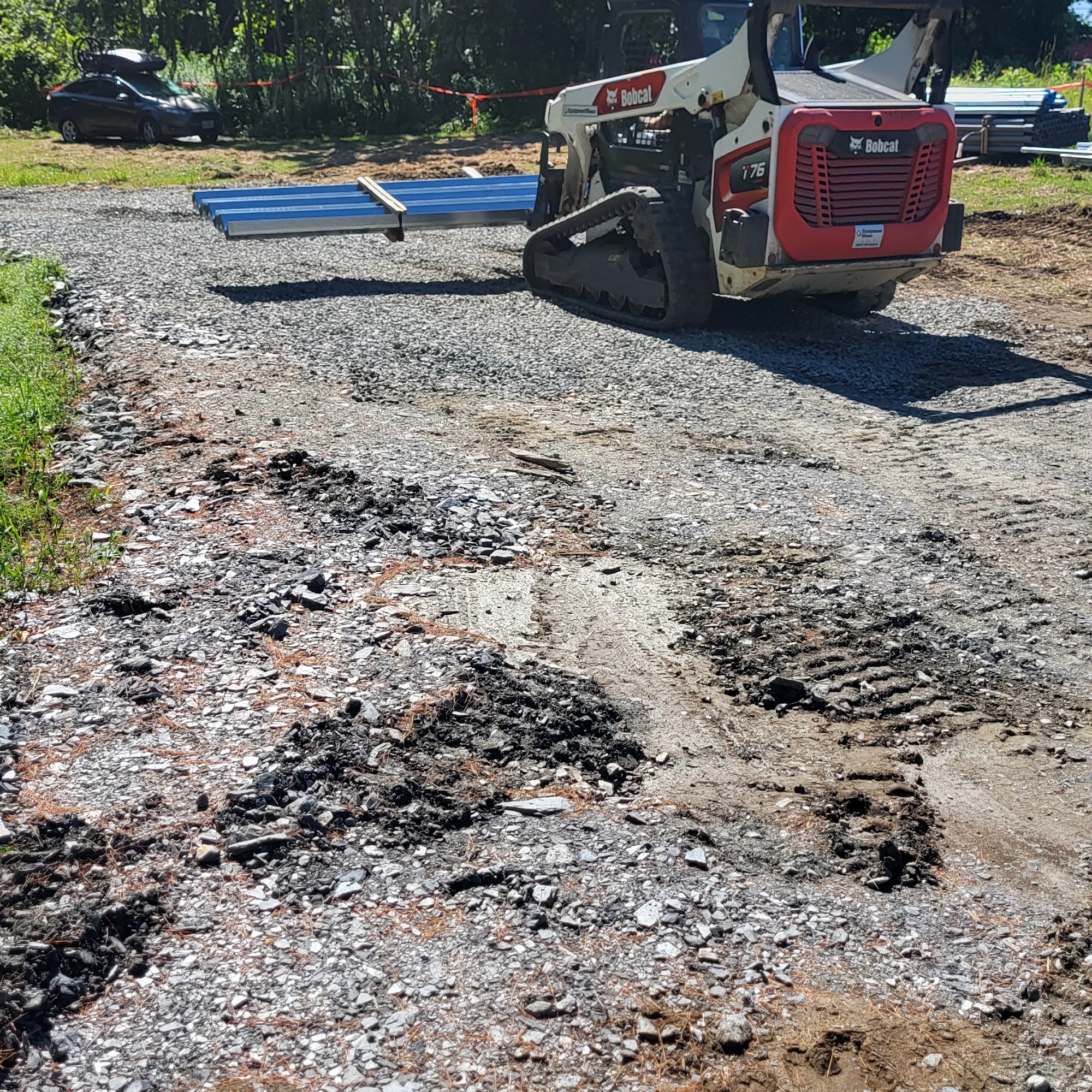 WOOF While You Walk Windsor