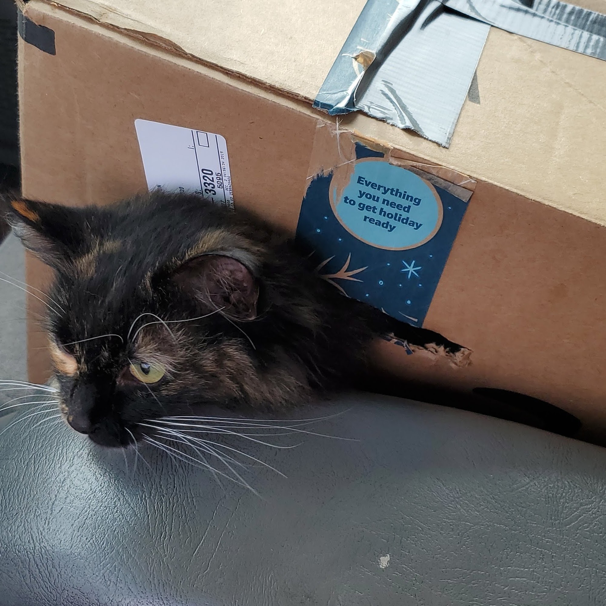 Companion Animal Hospital Aberdeen