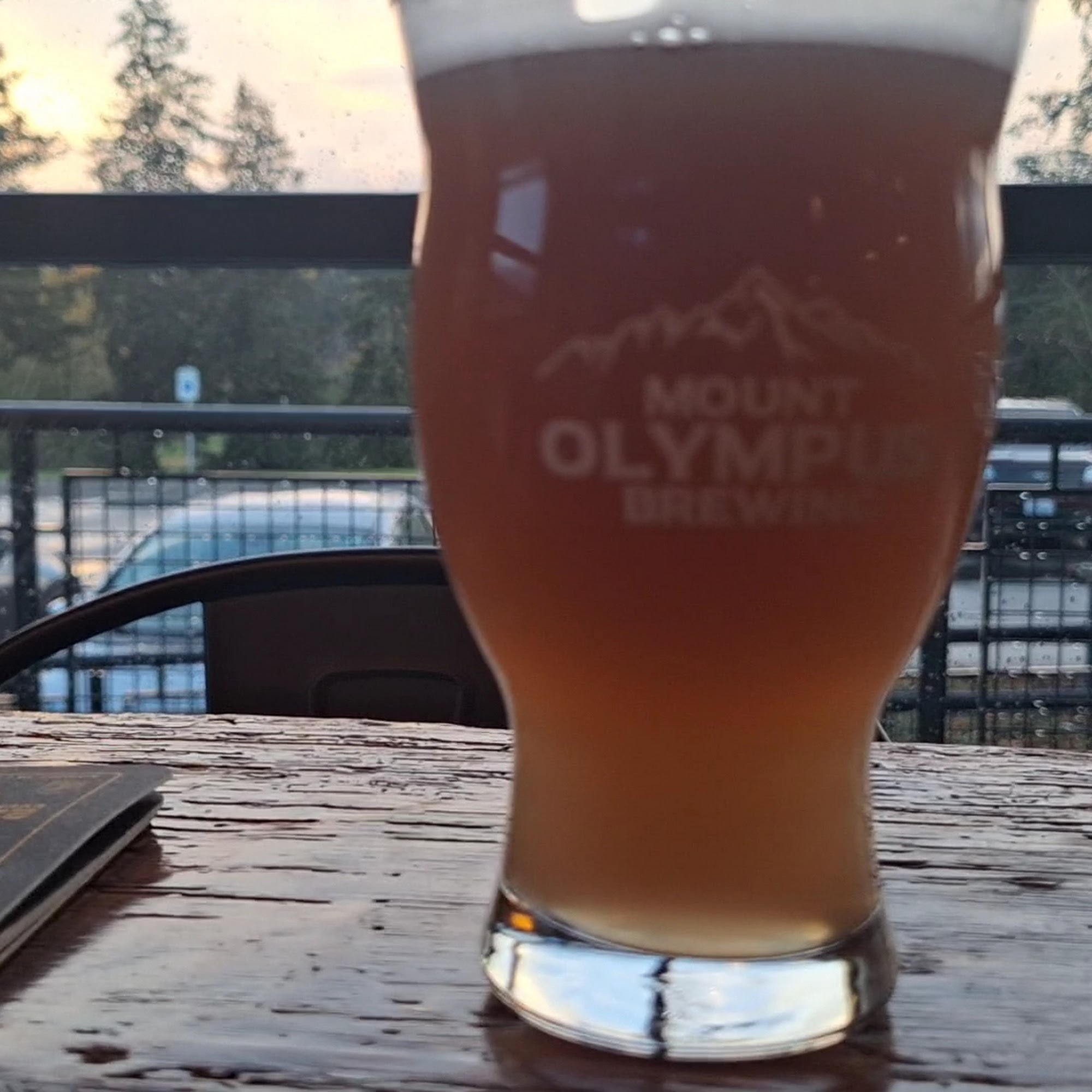 MOUNT OLYMPUS BREWING Aberdeen