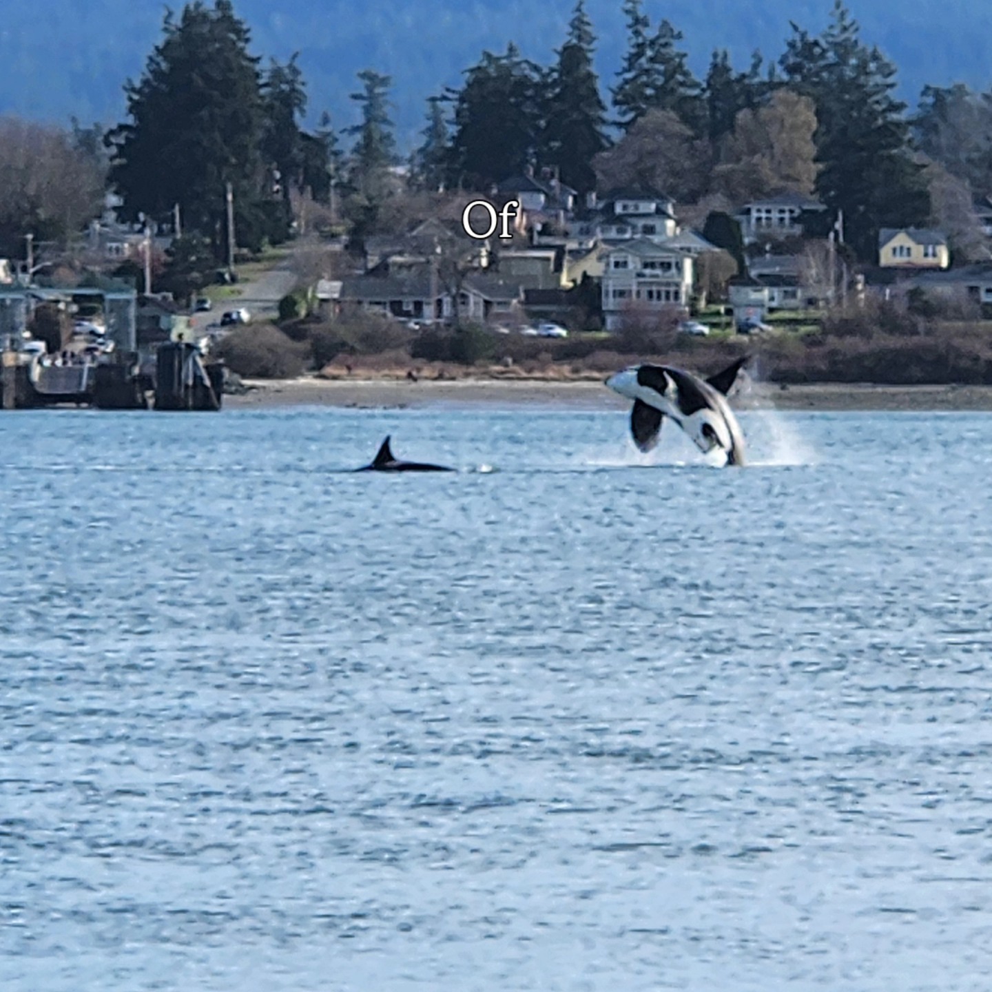 Guemes Island General Store Anacortes