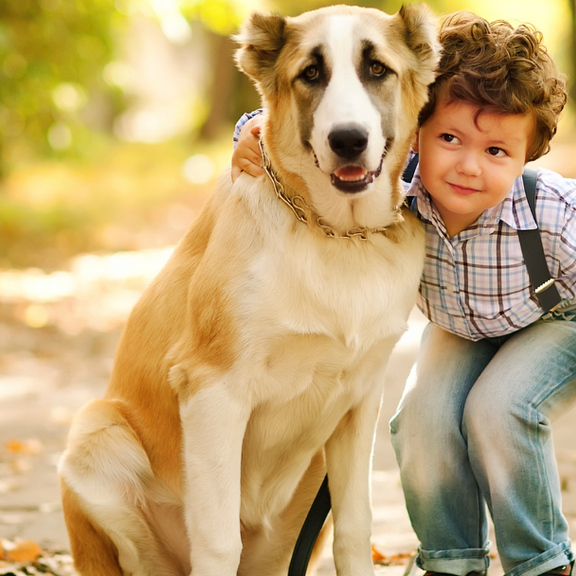 Family Pet Medical & Surgery Arlington