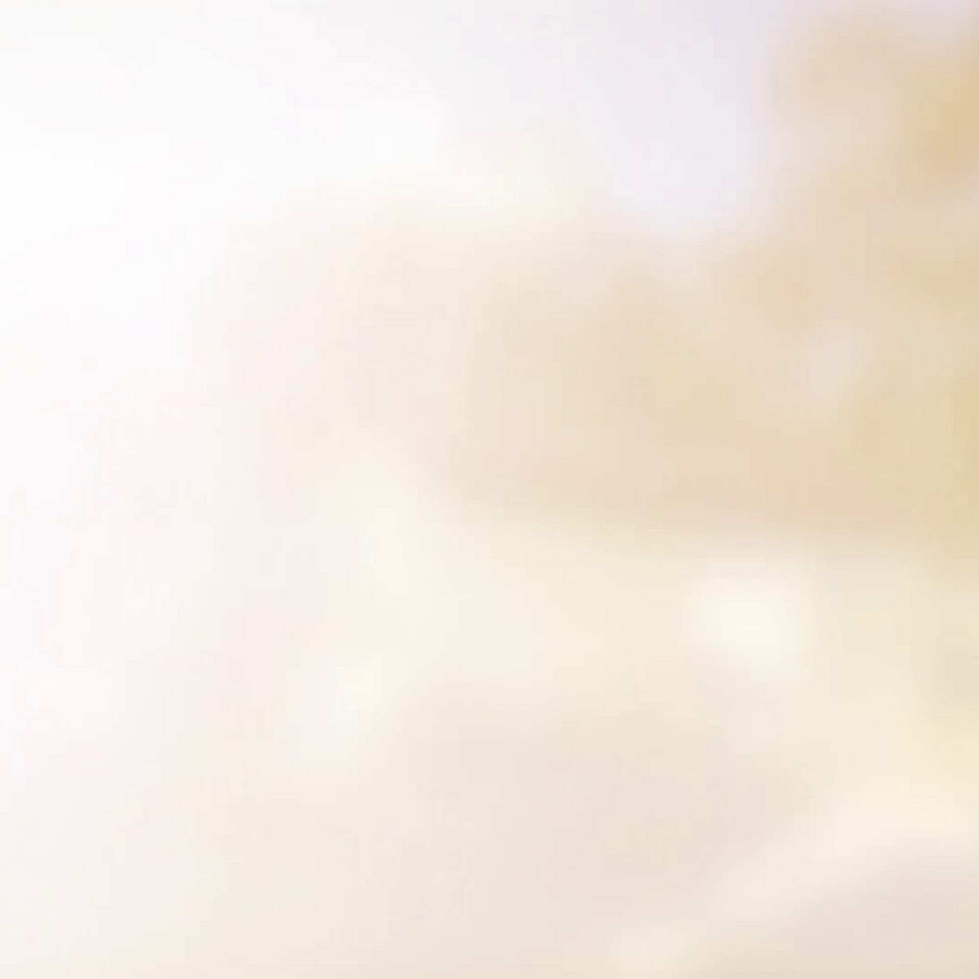 Purrfect Pals Cat Sanctuary and Adoption Centers Arlington