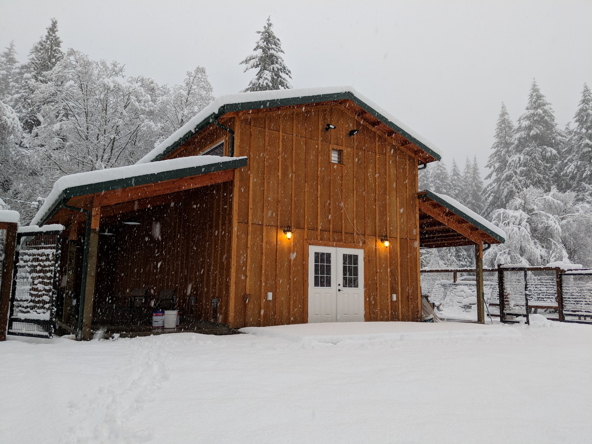 Northwest Dog Retreat Arlington