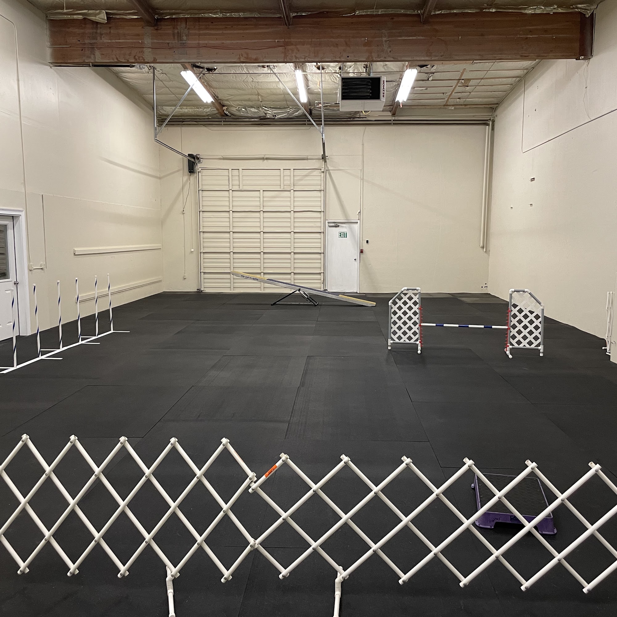 Gold Star Dog School Auburn