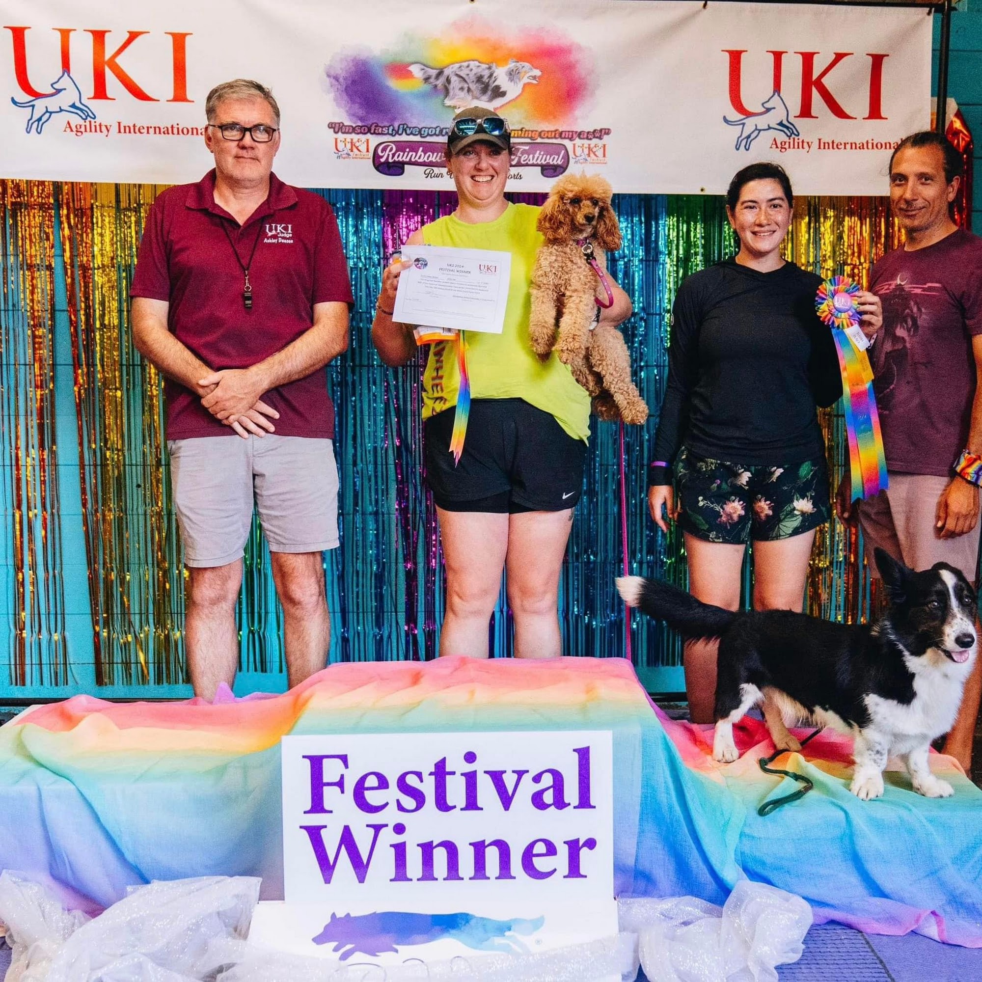 Run Wild Dog Sports & Training Center Auburn