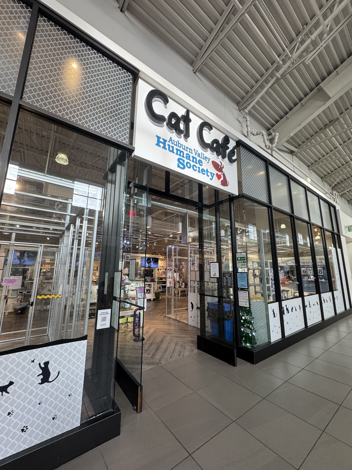 Auburn Valley Humane Society Cat Café Auburn