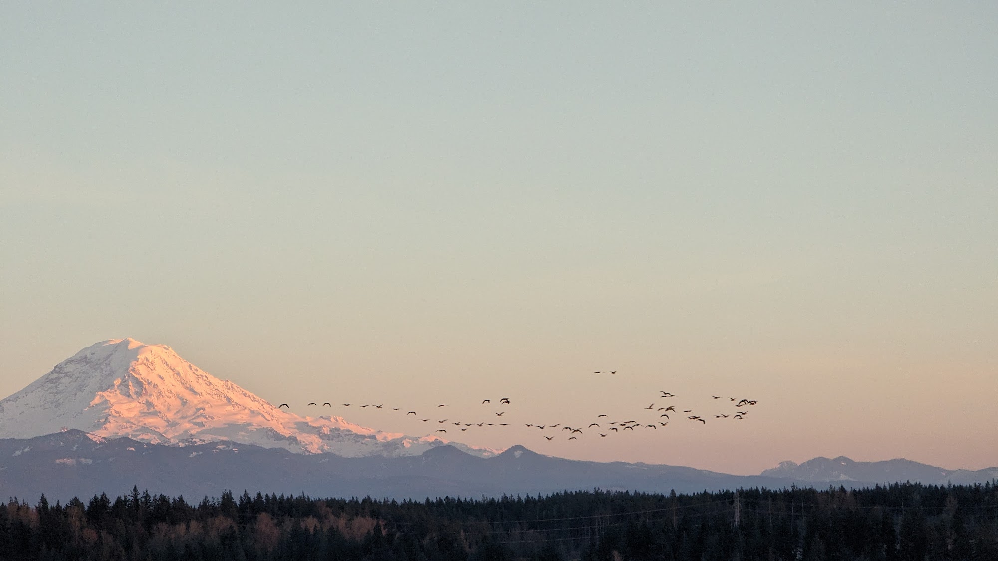 Smoke & Cedar Steakhouse Auburn