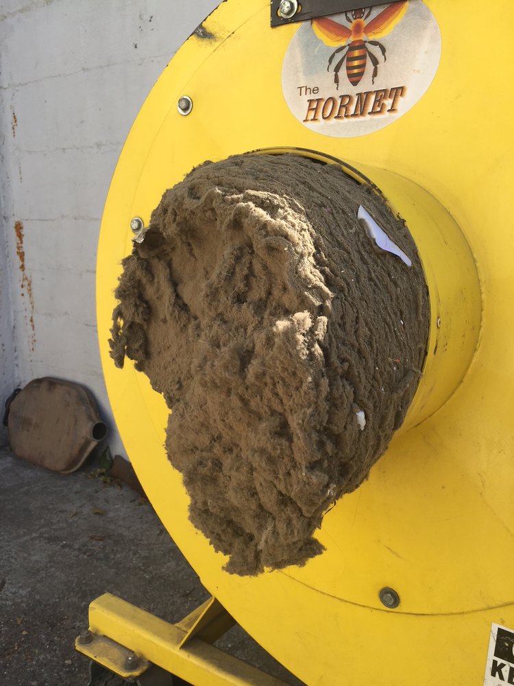 Bainbridge Island Pest Control & Air Duct Cleaning And Dryer Vent Cleaning Services