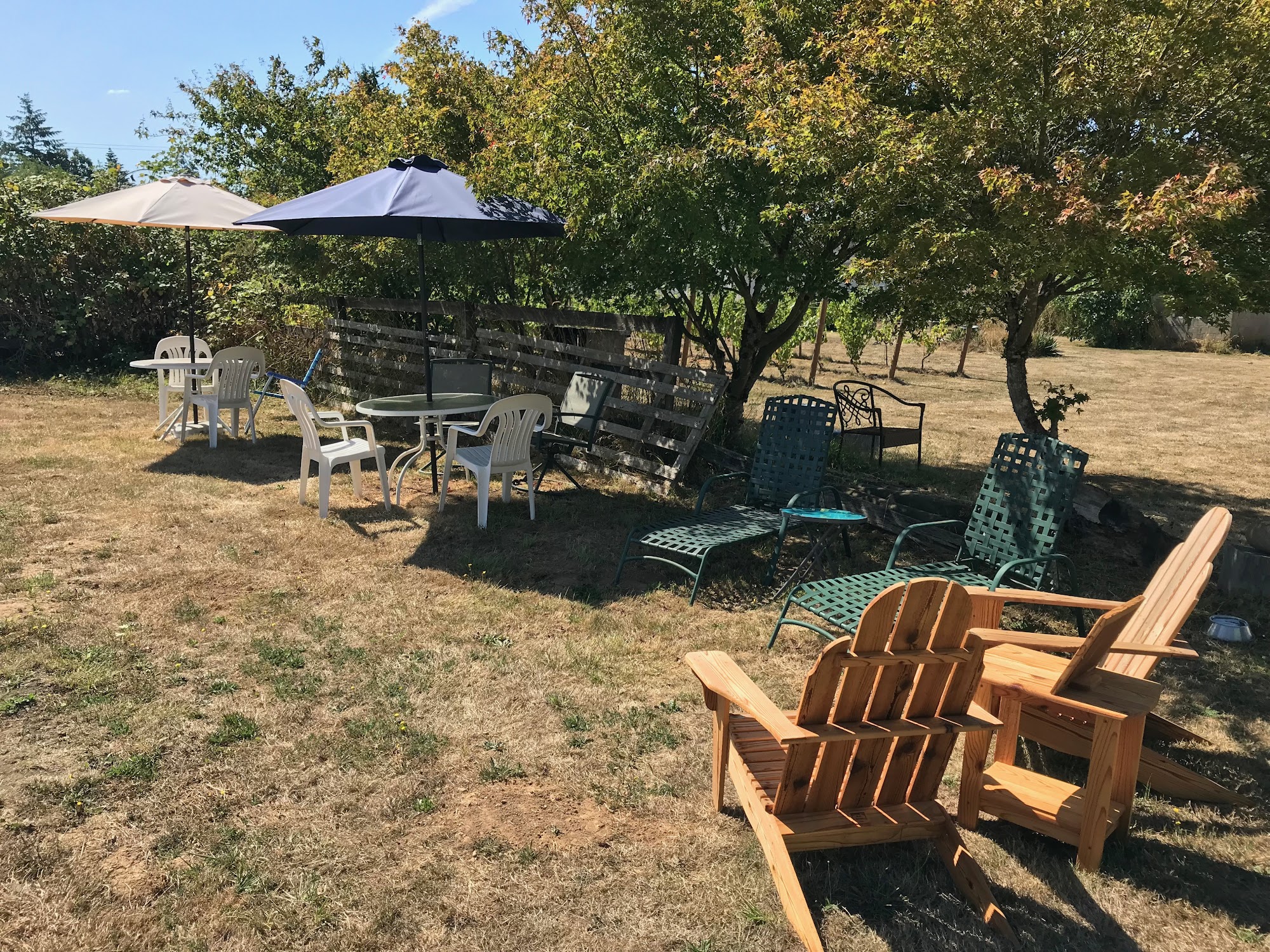 Rezabek Vineyards/Daybreak Cellars