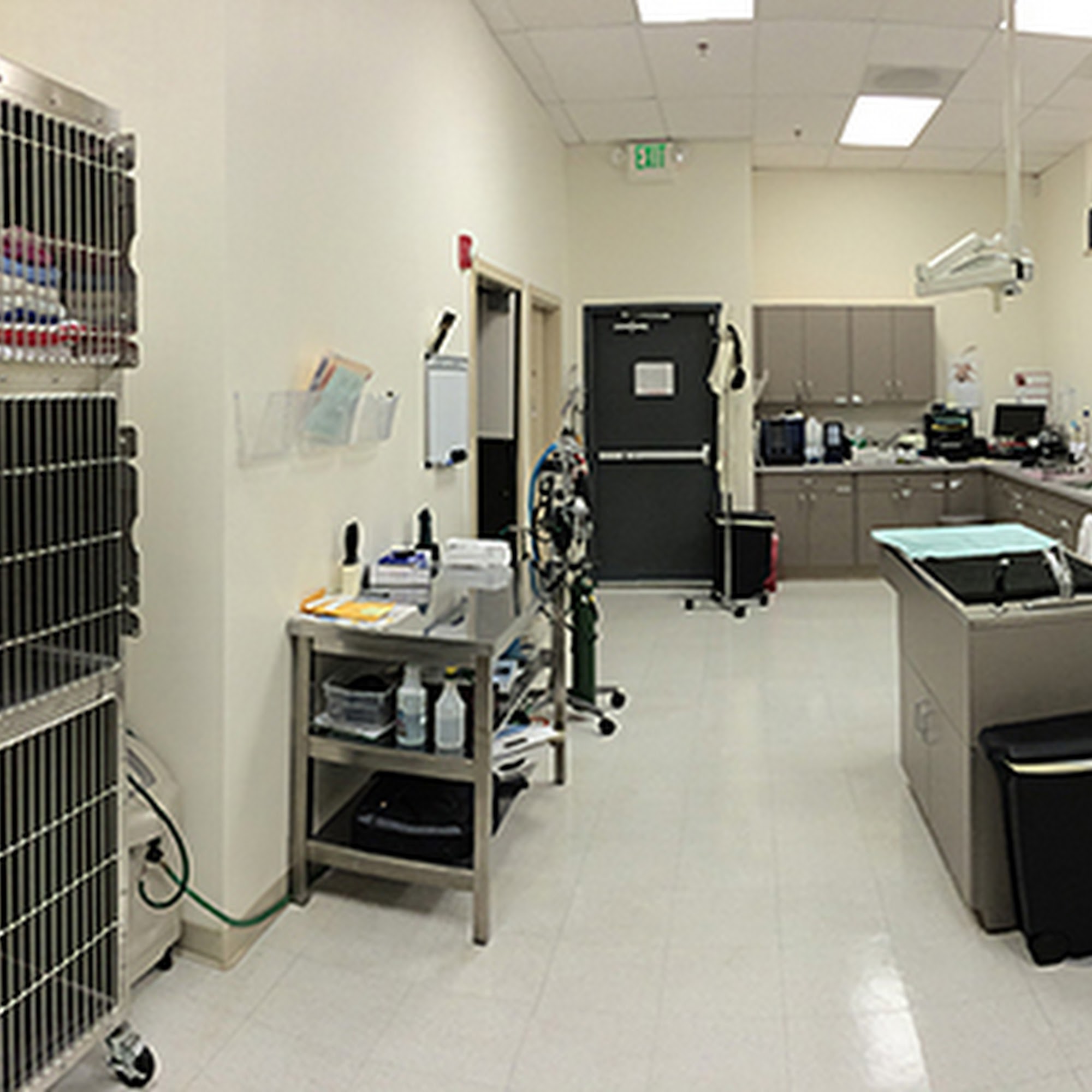 Crossroads Vet Bellevue