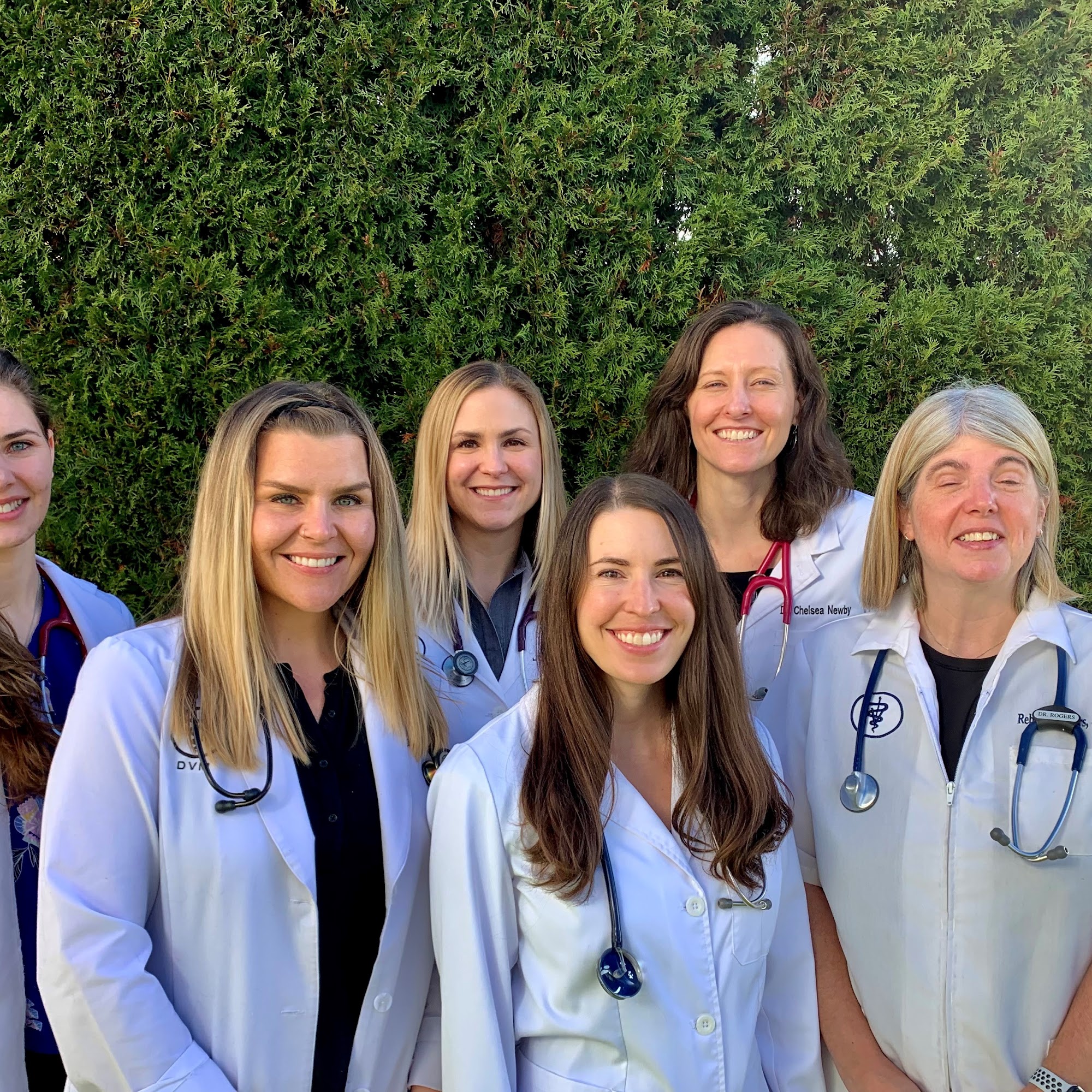 Loyal Family Veterinary Hospital Bellevue