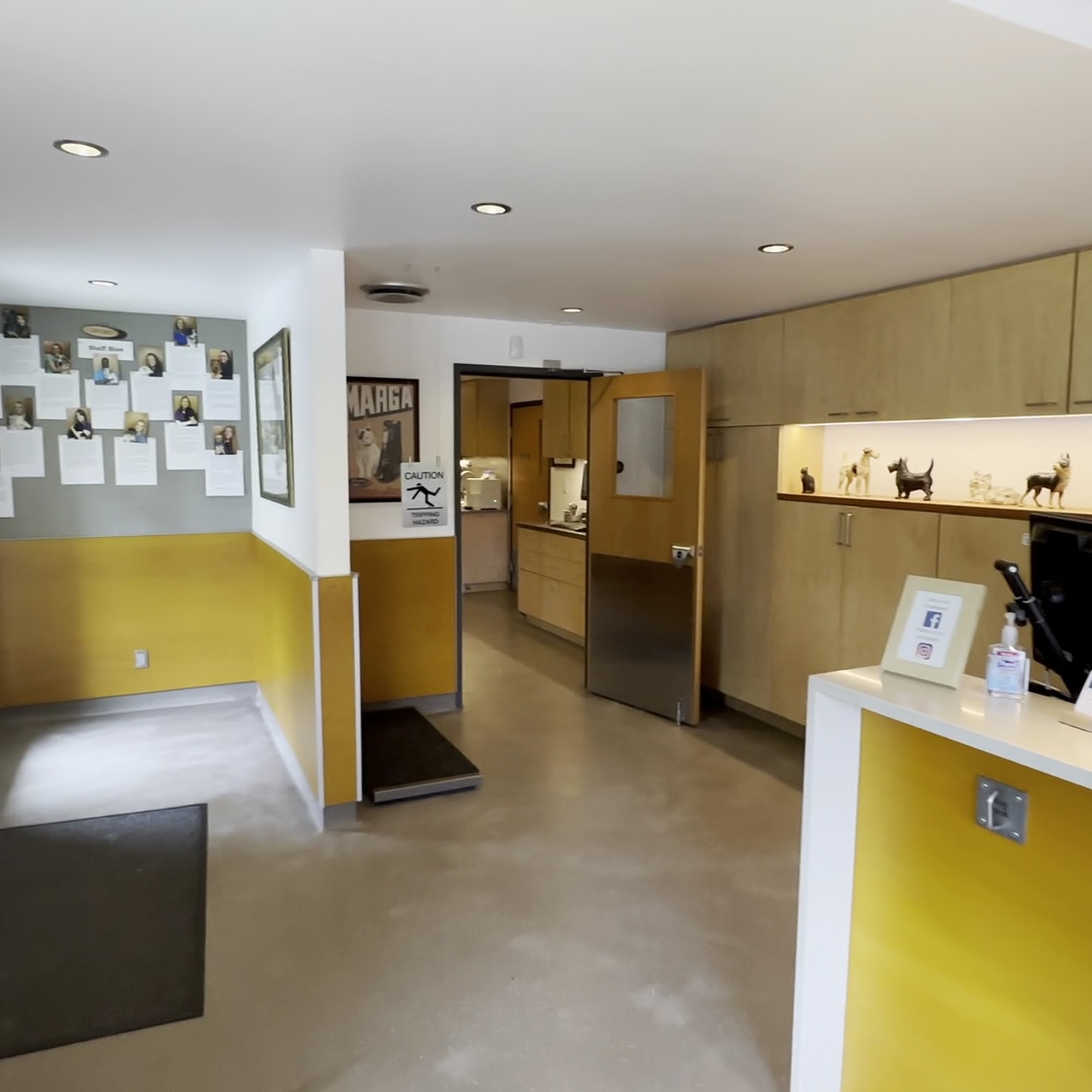 Animal Hospital of Factoria Bellevue