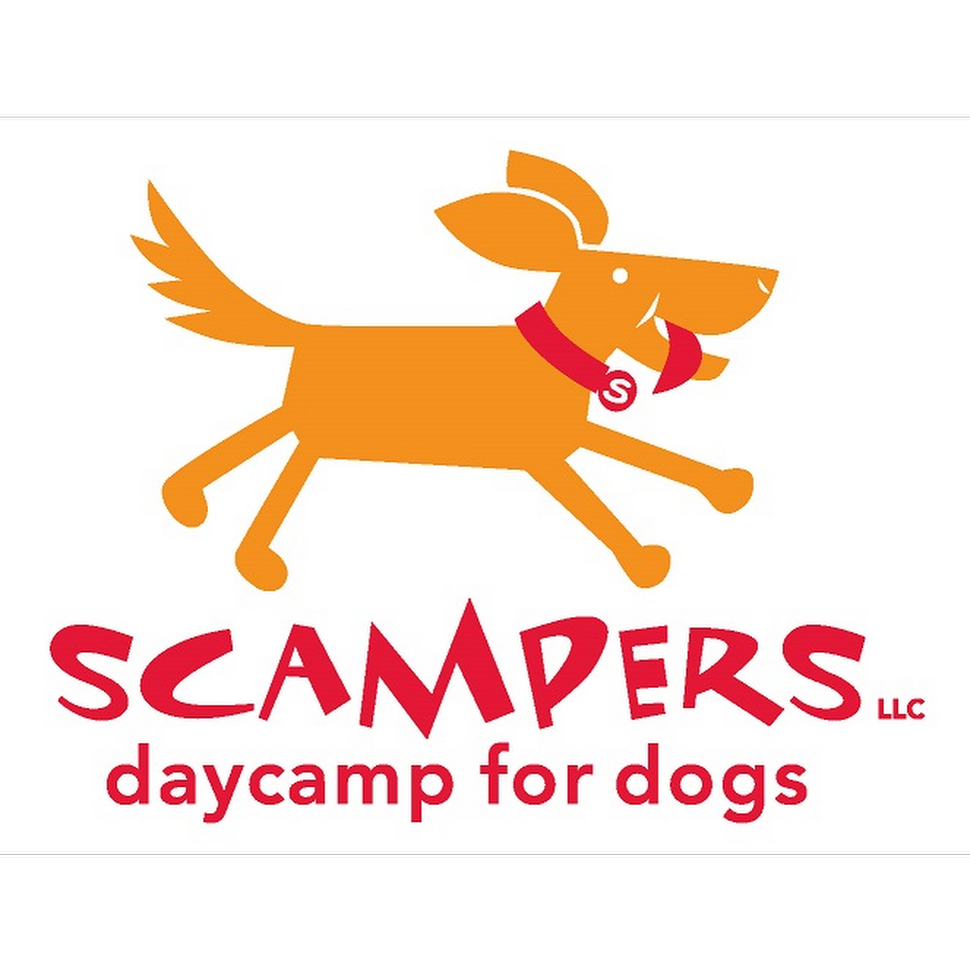 Scampers Daycamp for Dogs - Bellevue Branch Bellevue
