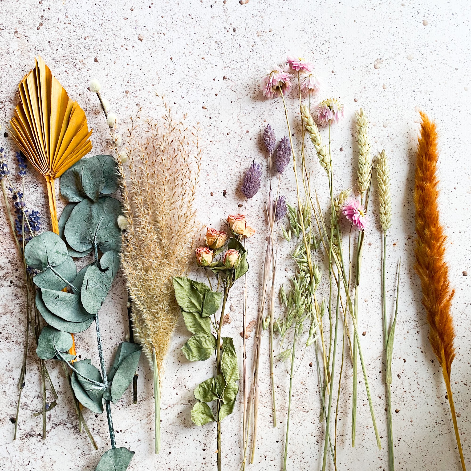 collaborative healing
