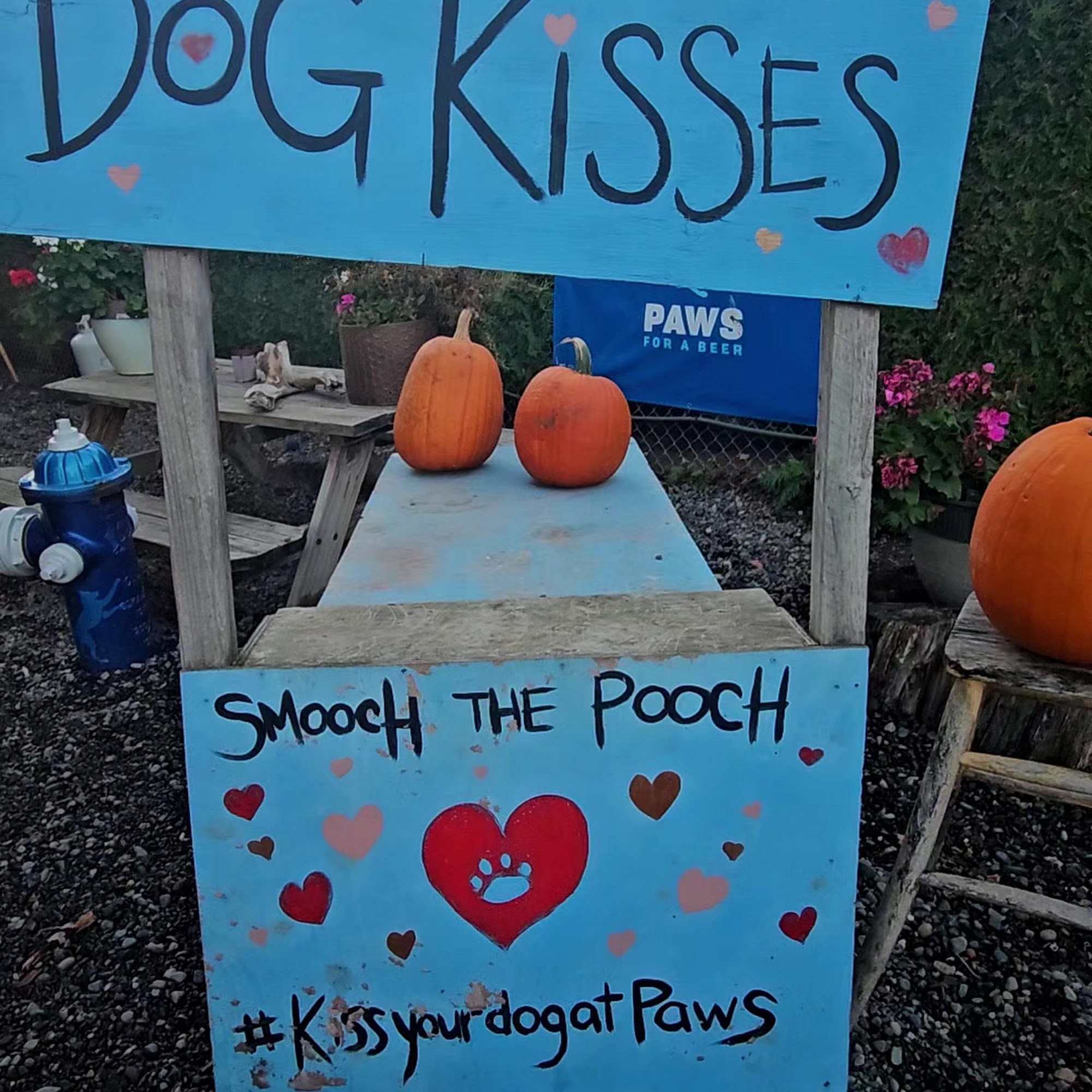 Paws For A Beer Bellingham