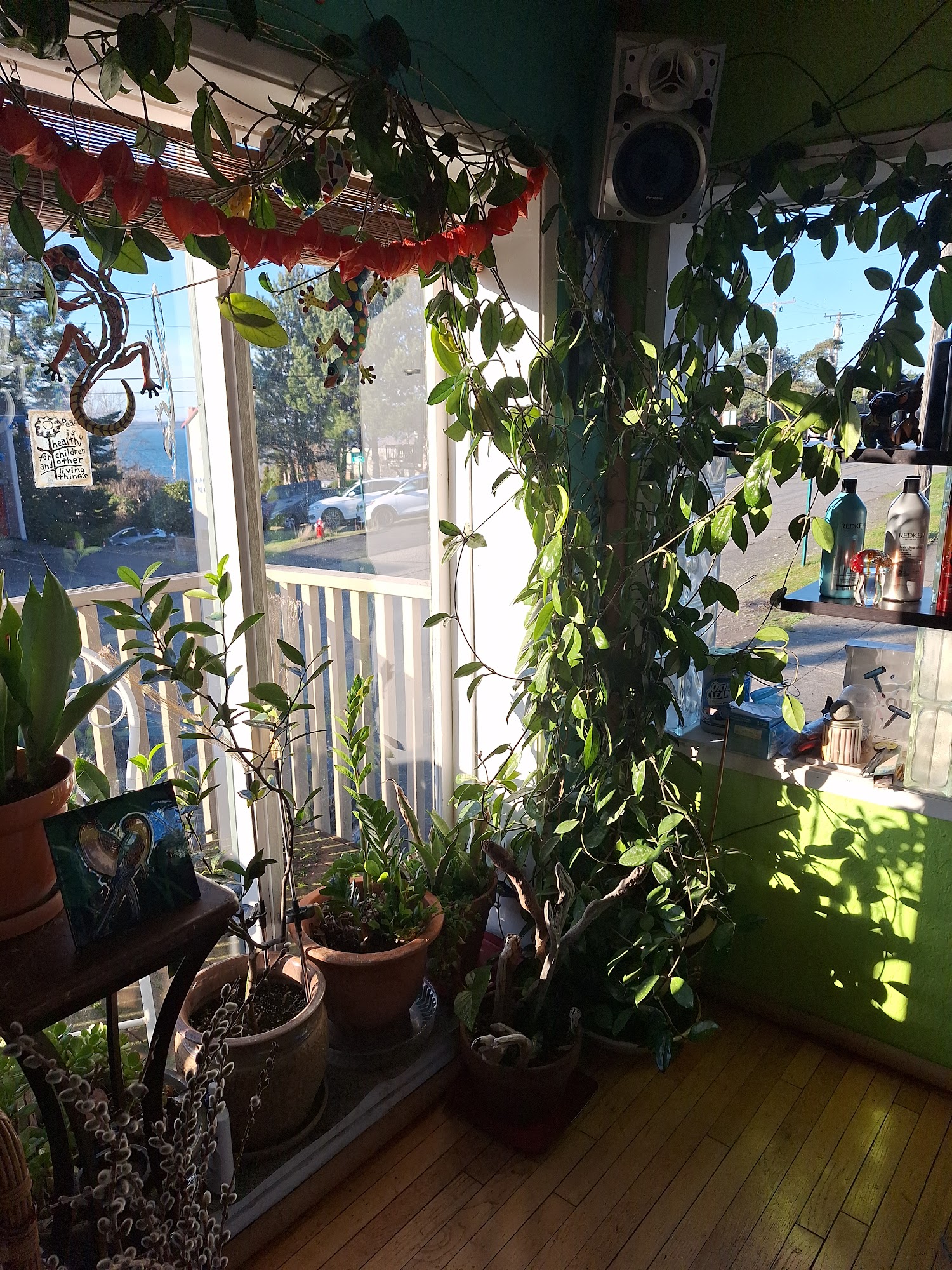 Tropix Hair Salon Ward Wickman