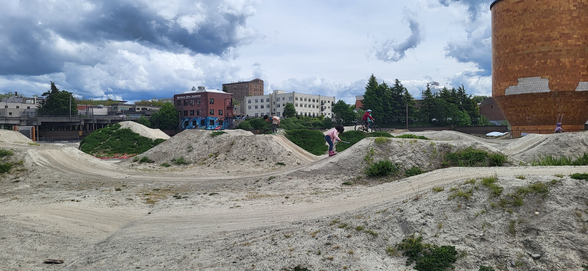 The Selkie Scoop Menu