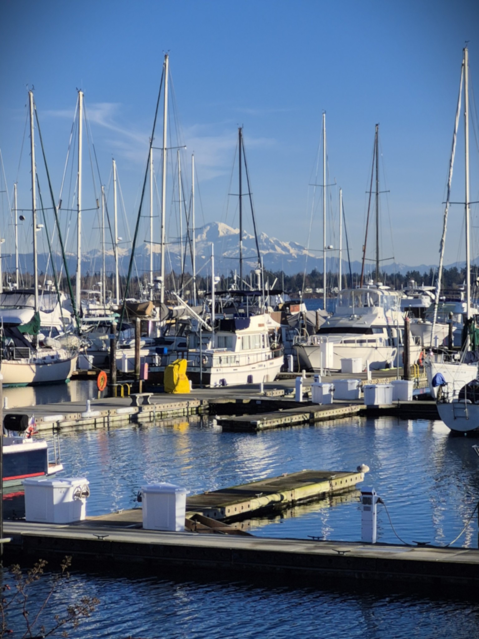 Semiahmoo Store & Café Blaine