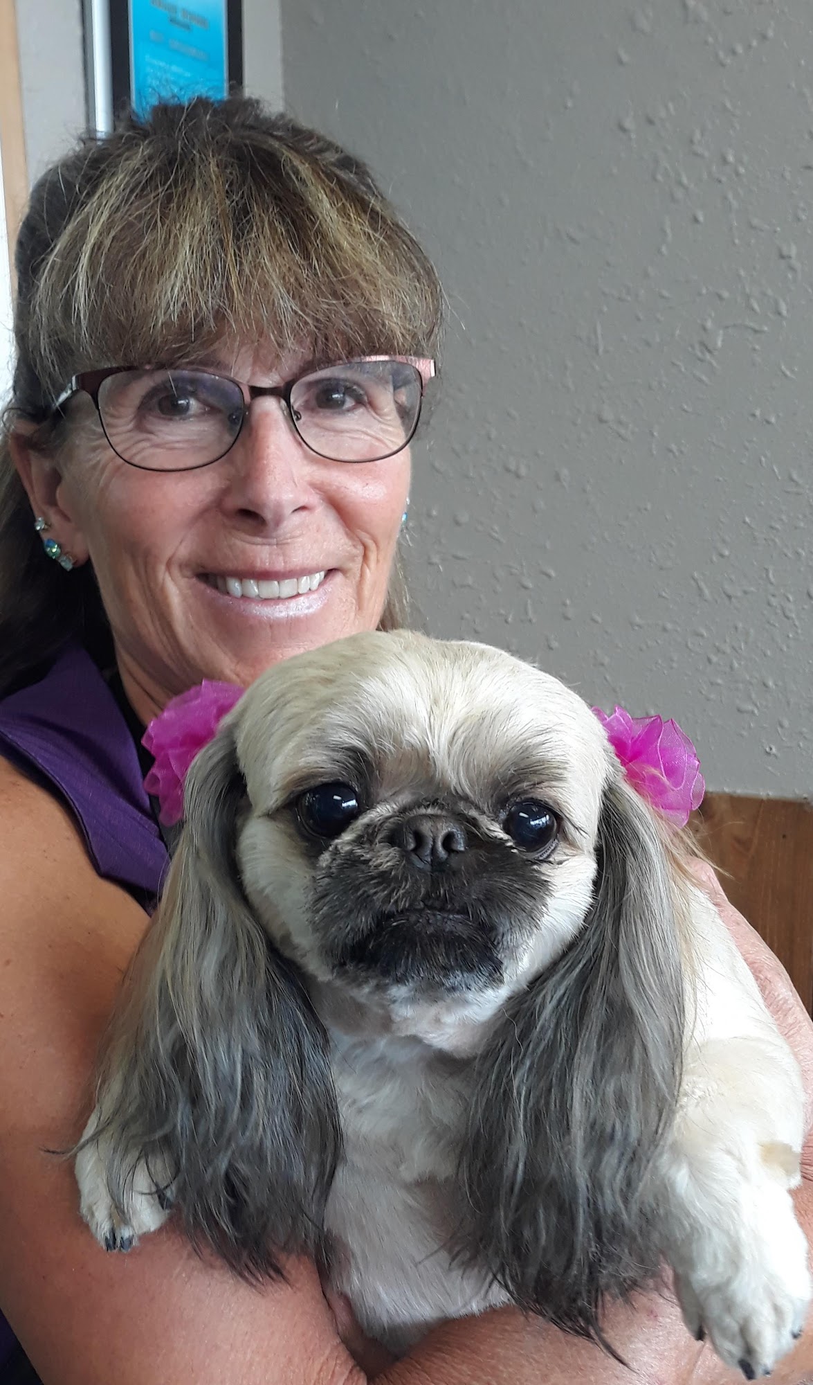 Spotted Dog Pet Grooming 2 Bonney Lake