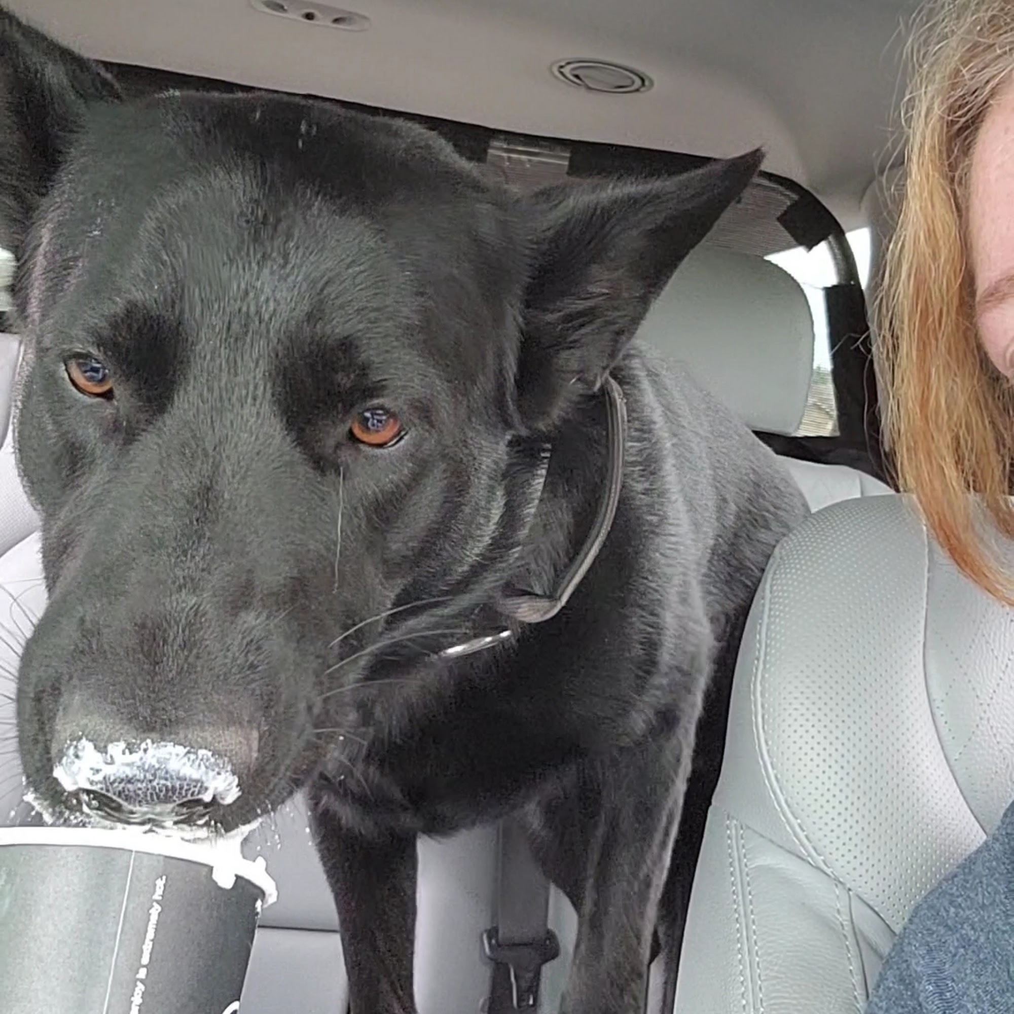 Gravity Coffee Buckley