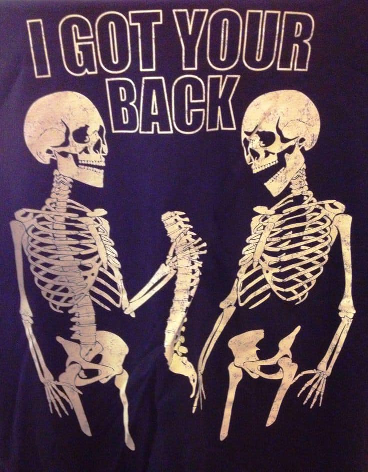 ABSOLUTE CHIROPRACTIC INC.